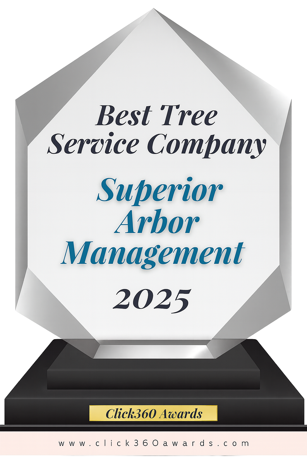 Best Tree Service