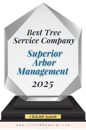 Best Tree Service 