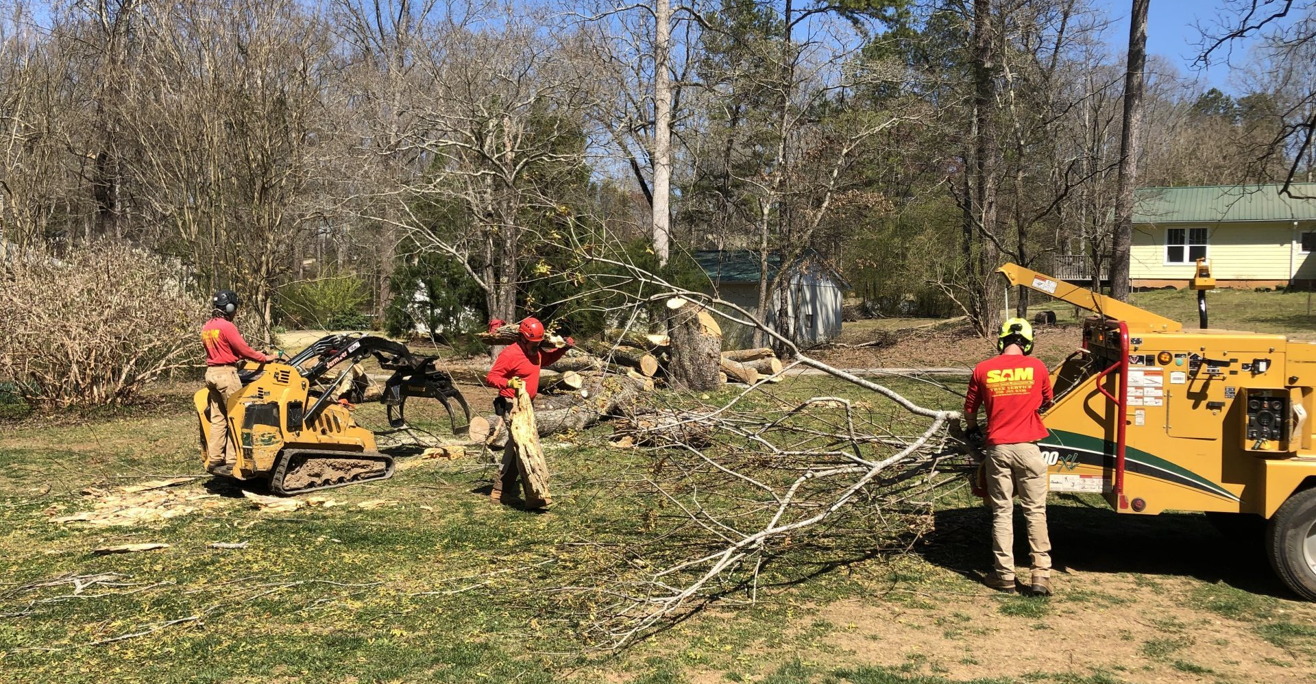 Benefits of Hiring an Experienced Tree Service