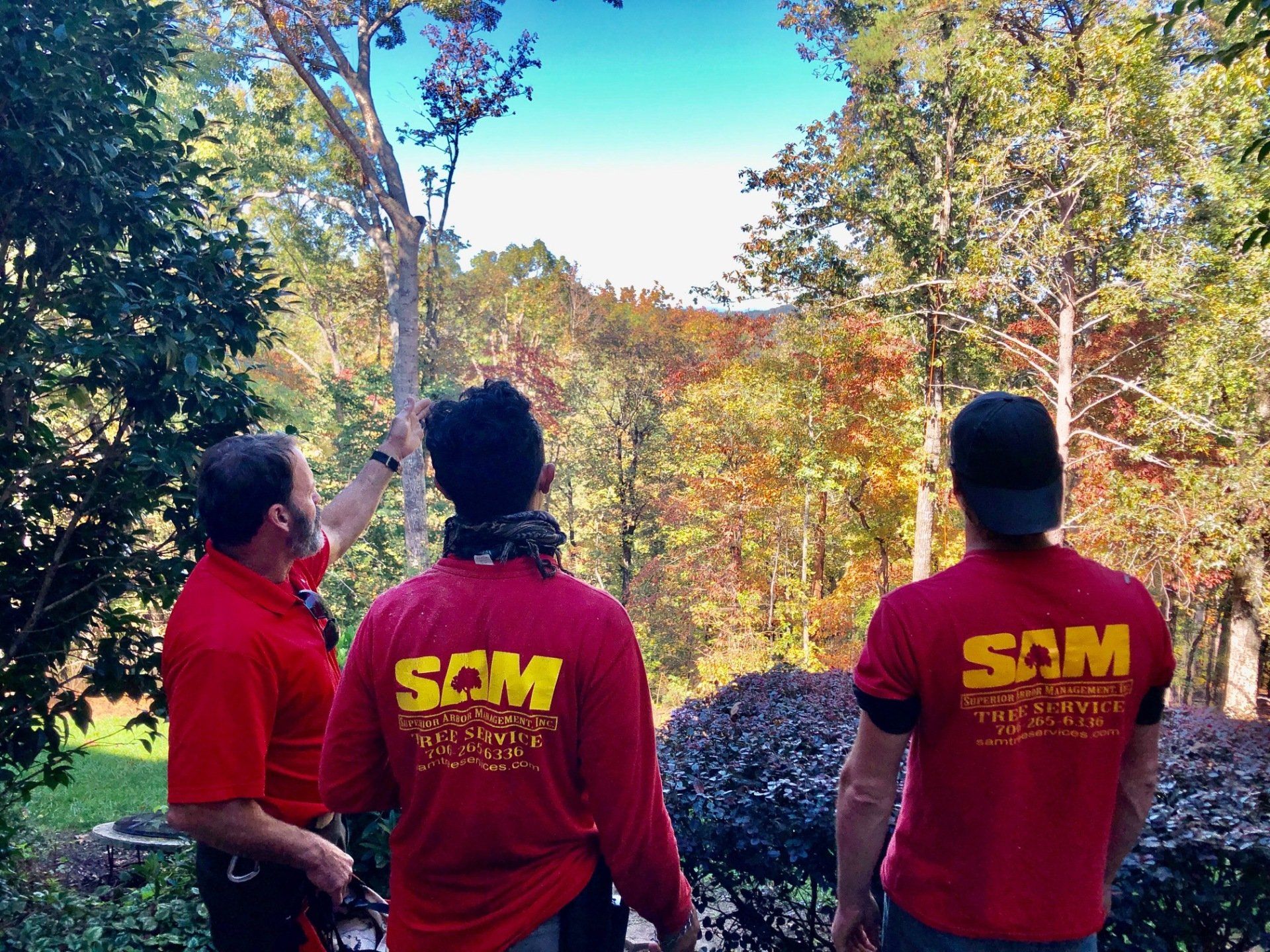 SAM Tree Service