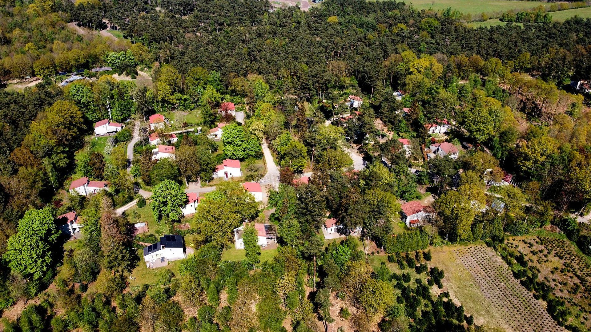 Vakantiehuis Achterhoek met prachtige natuur en rust.