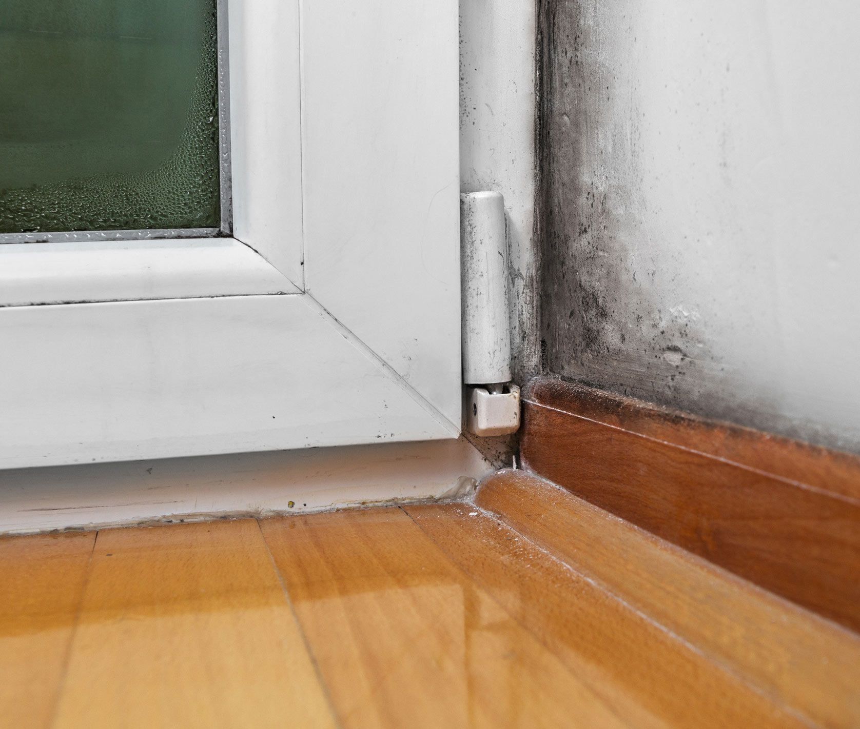 Mold Beside the Door — Omaha, NE — McGill Asbestos Abatement, LLC