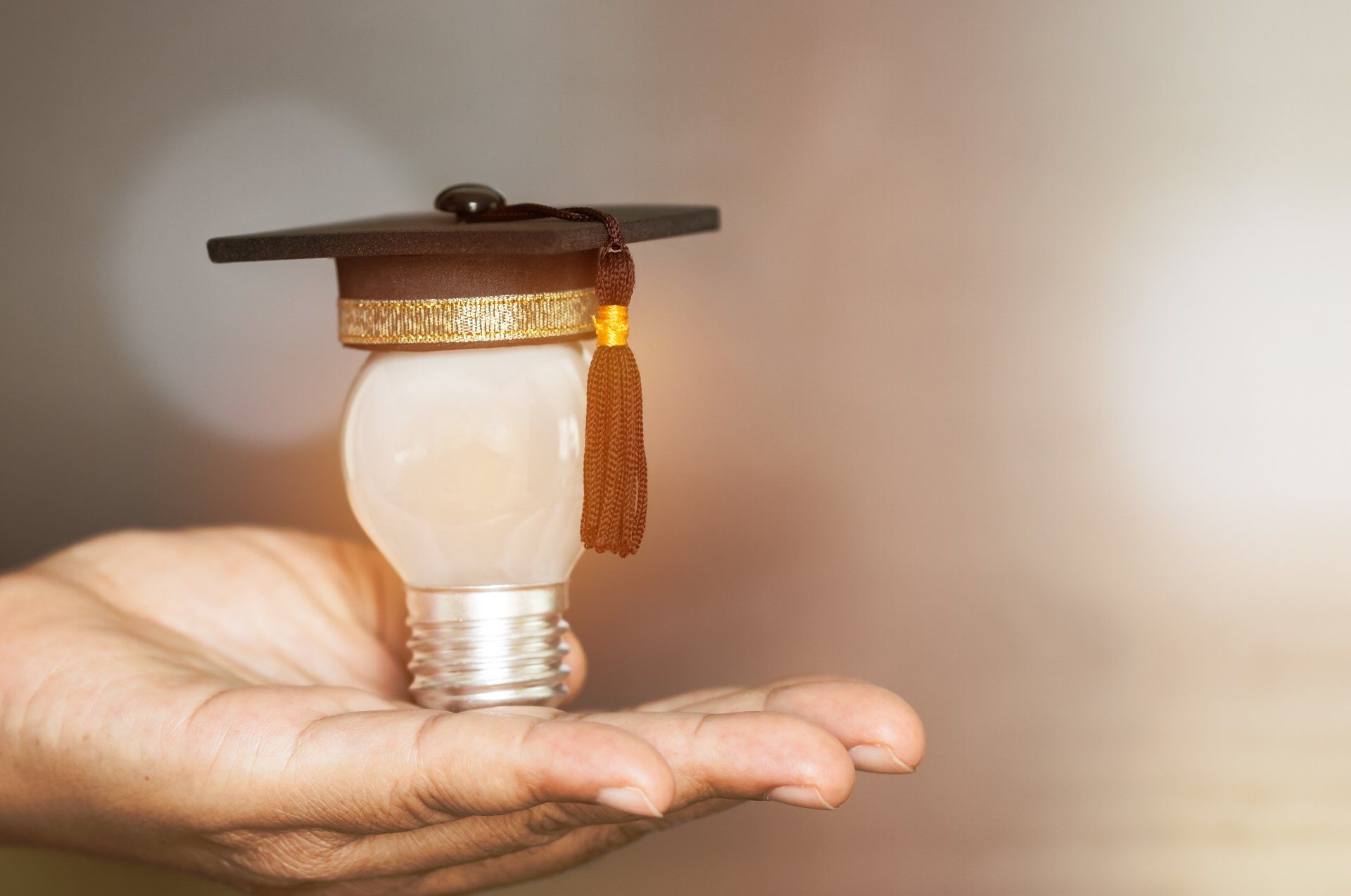 A person is holding a light bulb with a graduation cap on it.