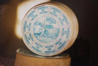 formaggio del pastore