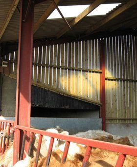 Steel suppliers - Crickhowell, South East Wales - Meyrick & Powell - Agricultural Buildings