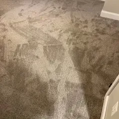 Dirty, stained, light brown carpet in a room, showing marks and wear.