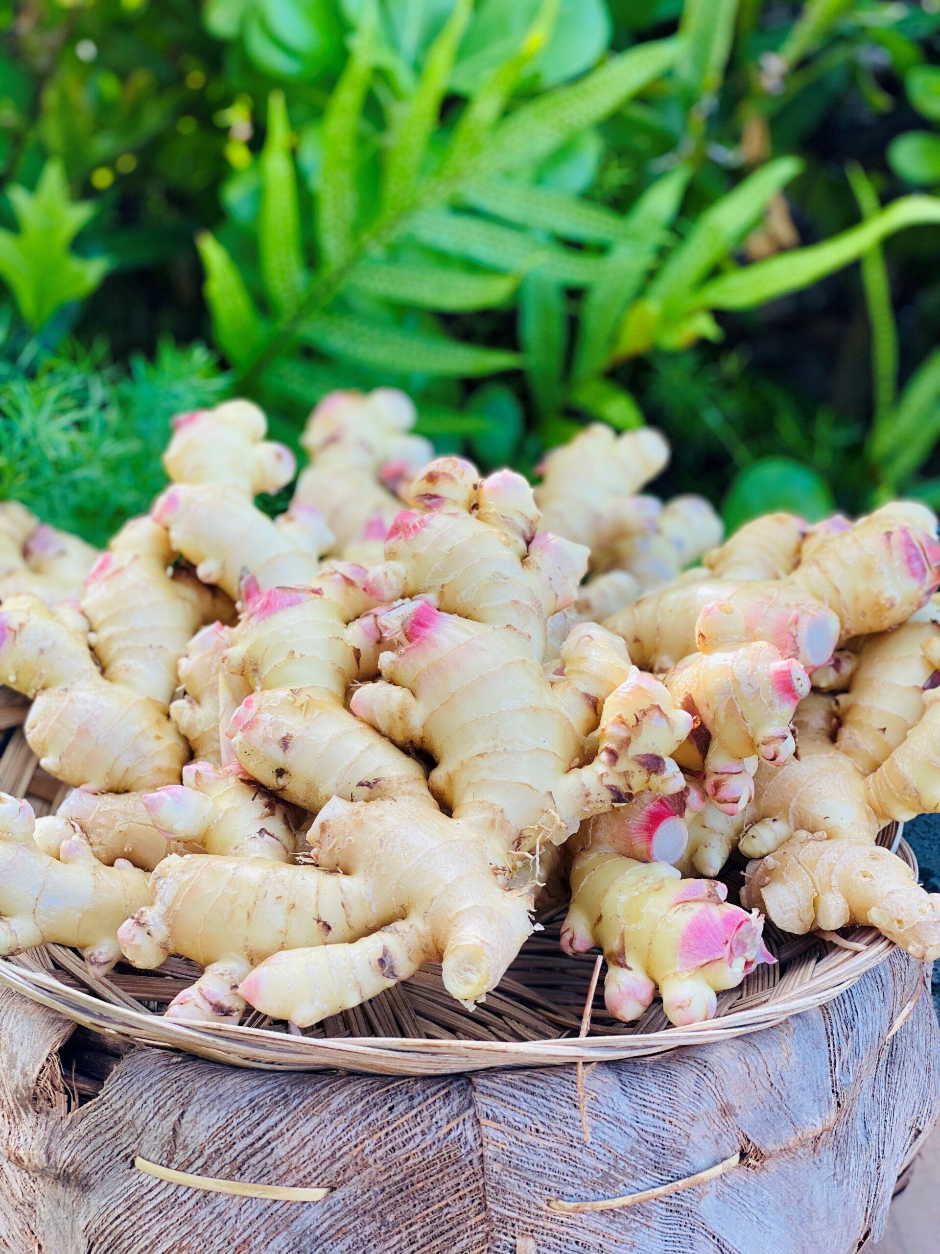 Ginger & Turmeric
