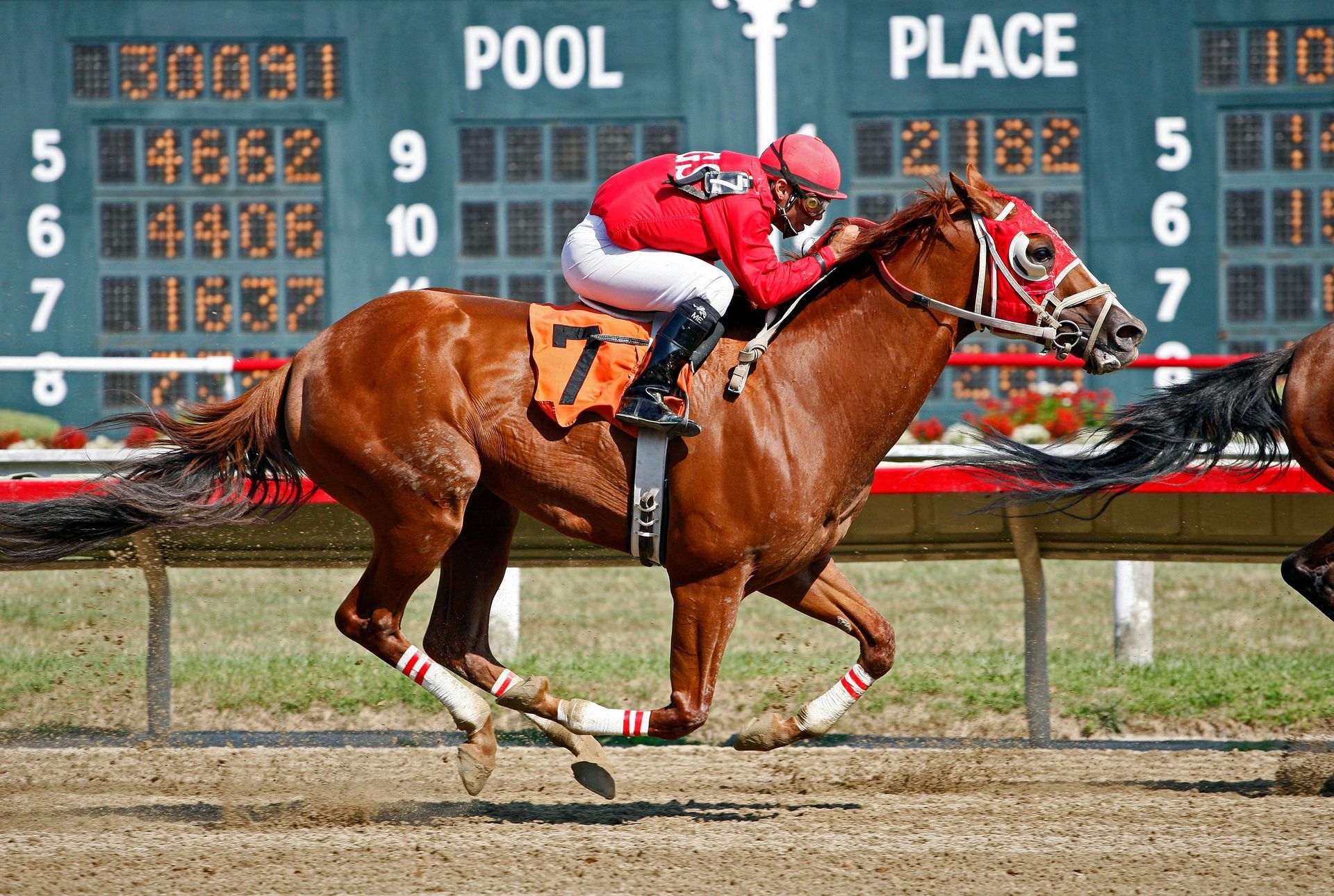 Racehorse, number 7, in red and white silks, runs on a dirt track, with a scoreboard in the background.