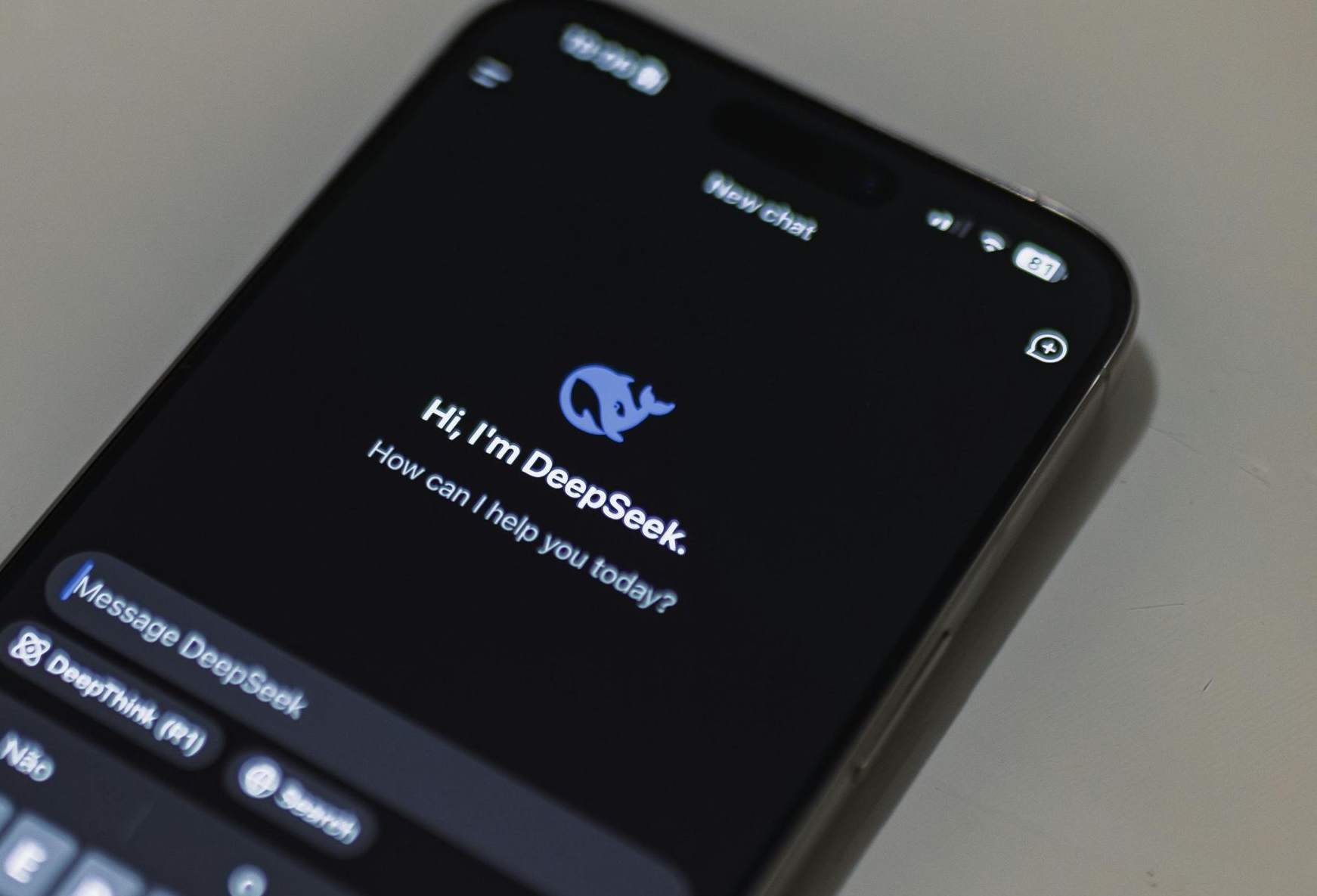 Smartphone screen displaying a chatbot interface. Text reads: 