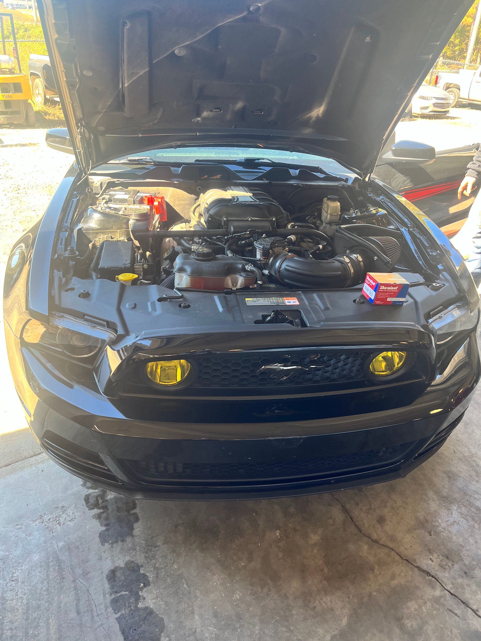 The Hood of a Black Mustang Is Open and the Engine Is Visible | Apex Vehicle Services