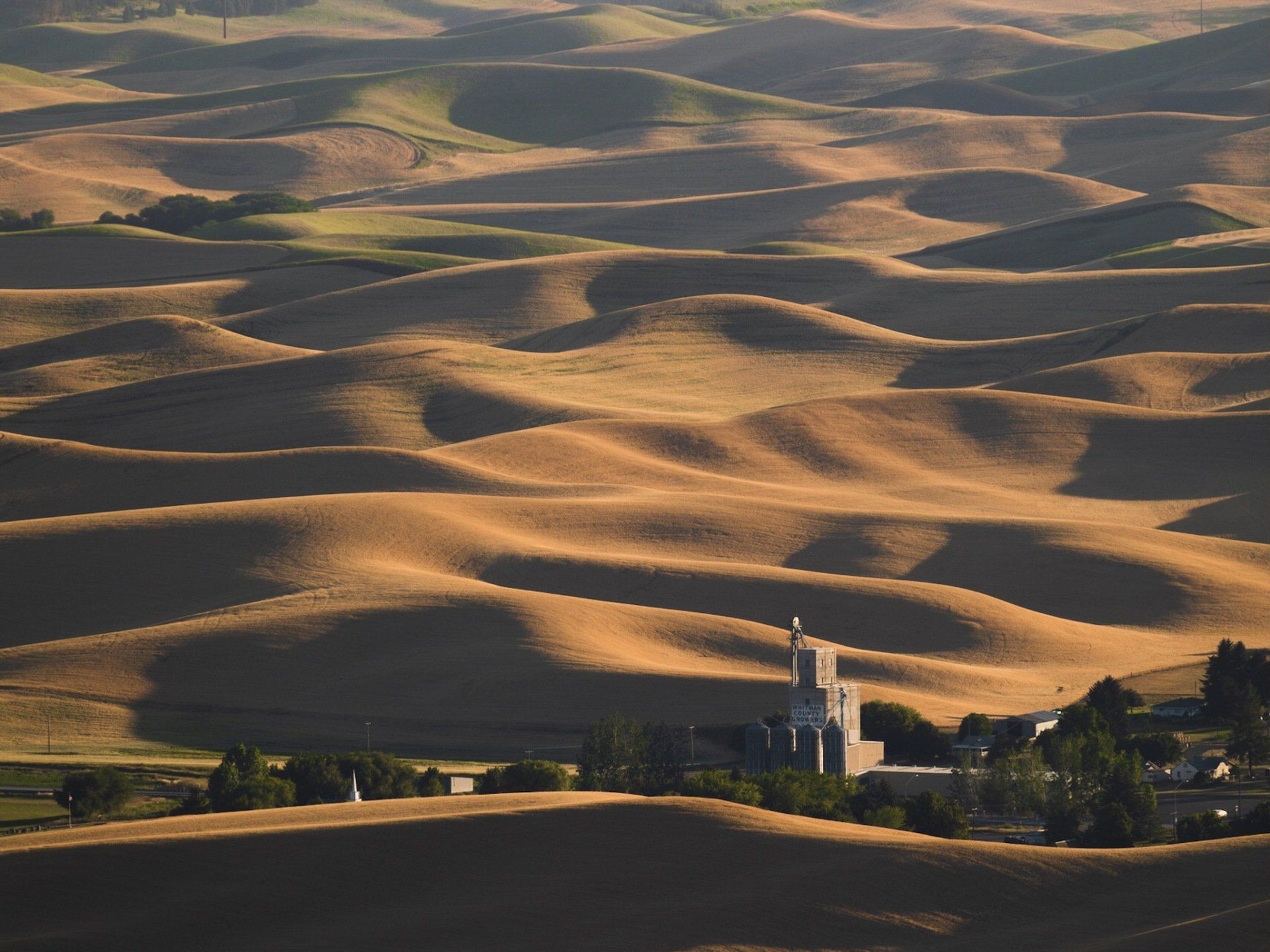 The_Rolling_Hills_Wheat_Fields_on_the_Palouse
