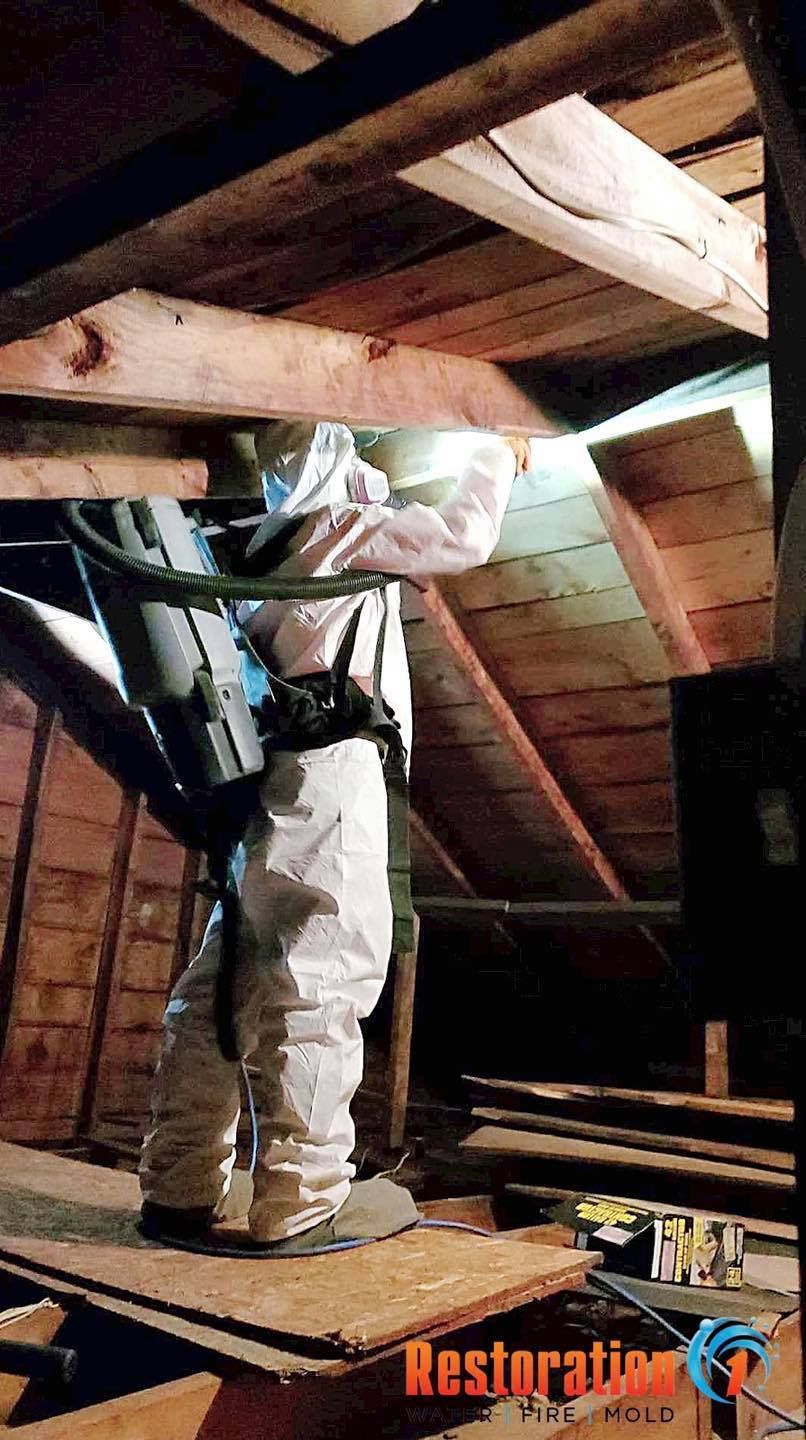 A person in a white hazmat suit uses a backpack vacuum to clean mold in a wooden attic.