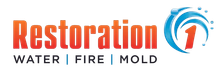 Logo for Restoration 1 with orange text reading "Restoration" and a blue swirl icon containing a number 1.