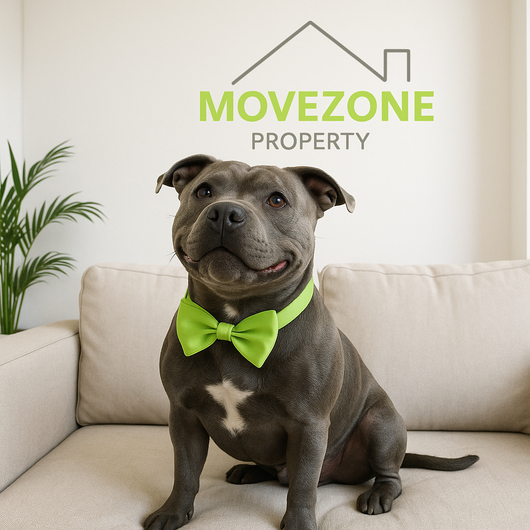 Movezone Team