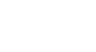 A white background with a few lines on it