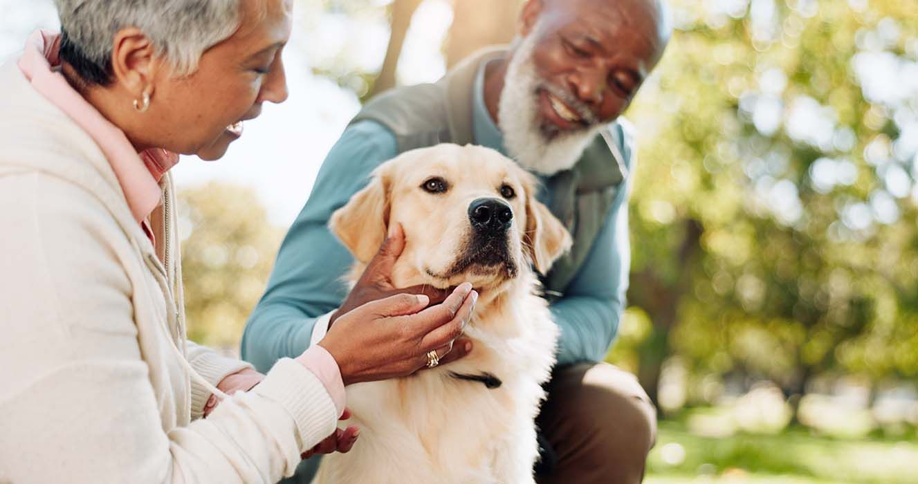 Senior couple petting a golden retriever dog outdoors in a park.