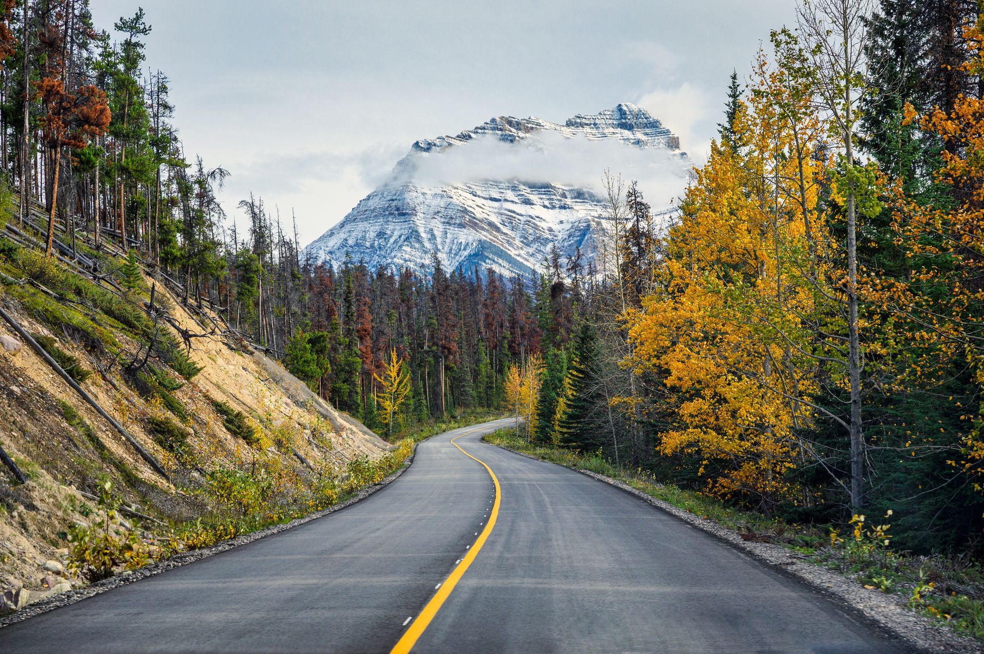 How to Prepare My Car for Summer Road Trips in Alberta? | Northside Auto