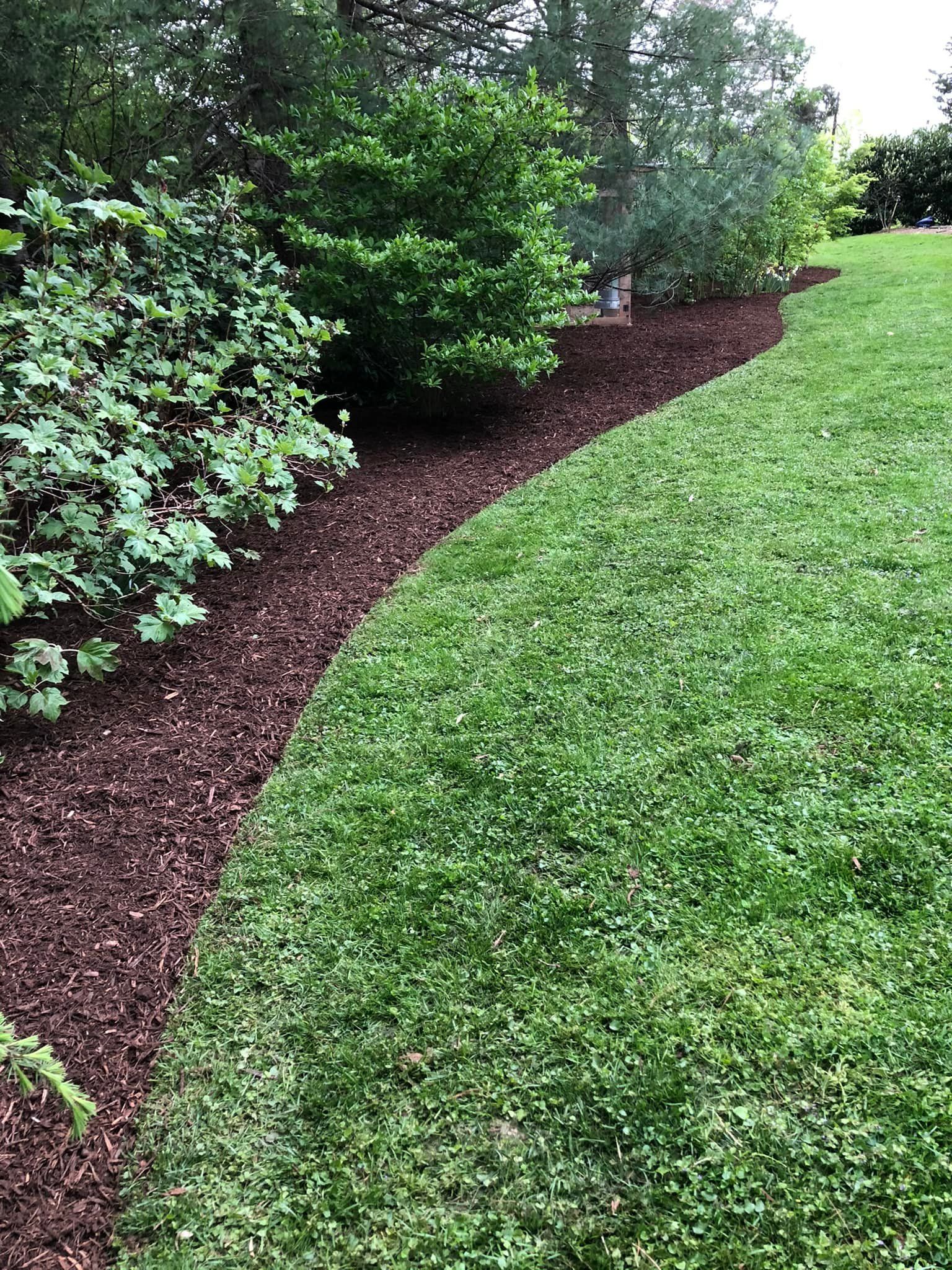 Tree Planting Images Tree - Scottsville, VA - Jones Tree Service & Landscaping, LLC