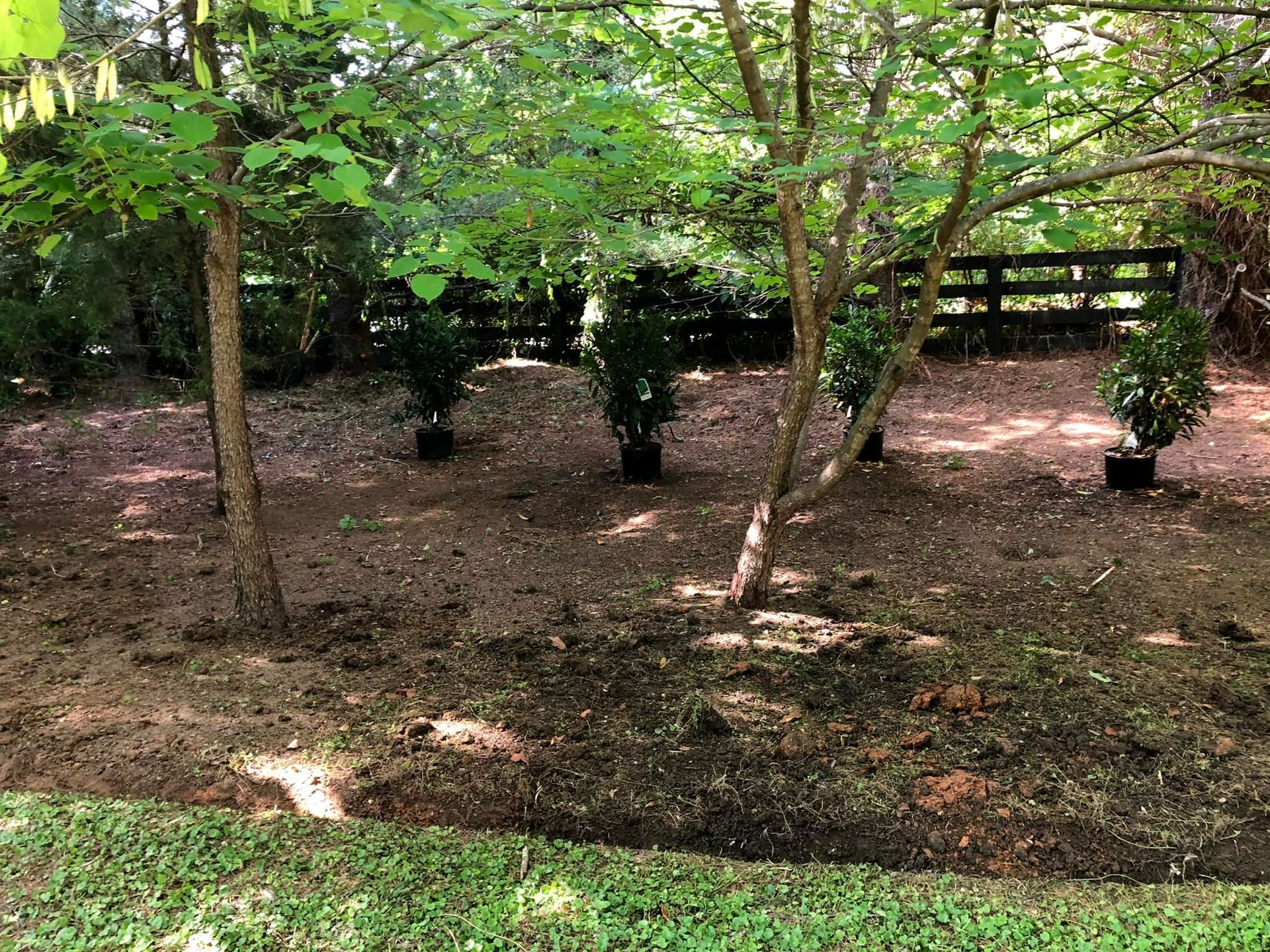 Tree Planting Images One- Scottsville, VA - Jones Tree Service & Landscaping, LLC