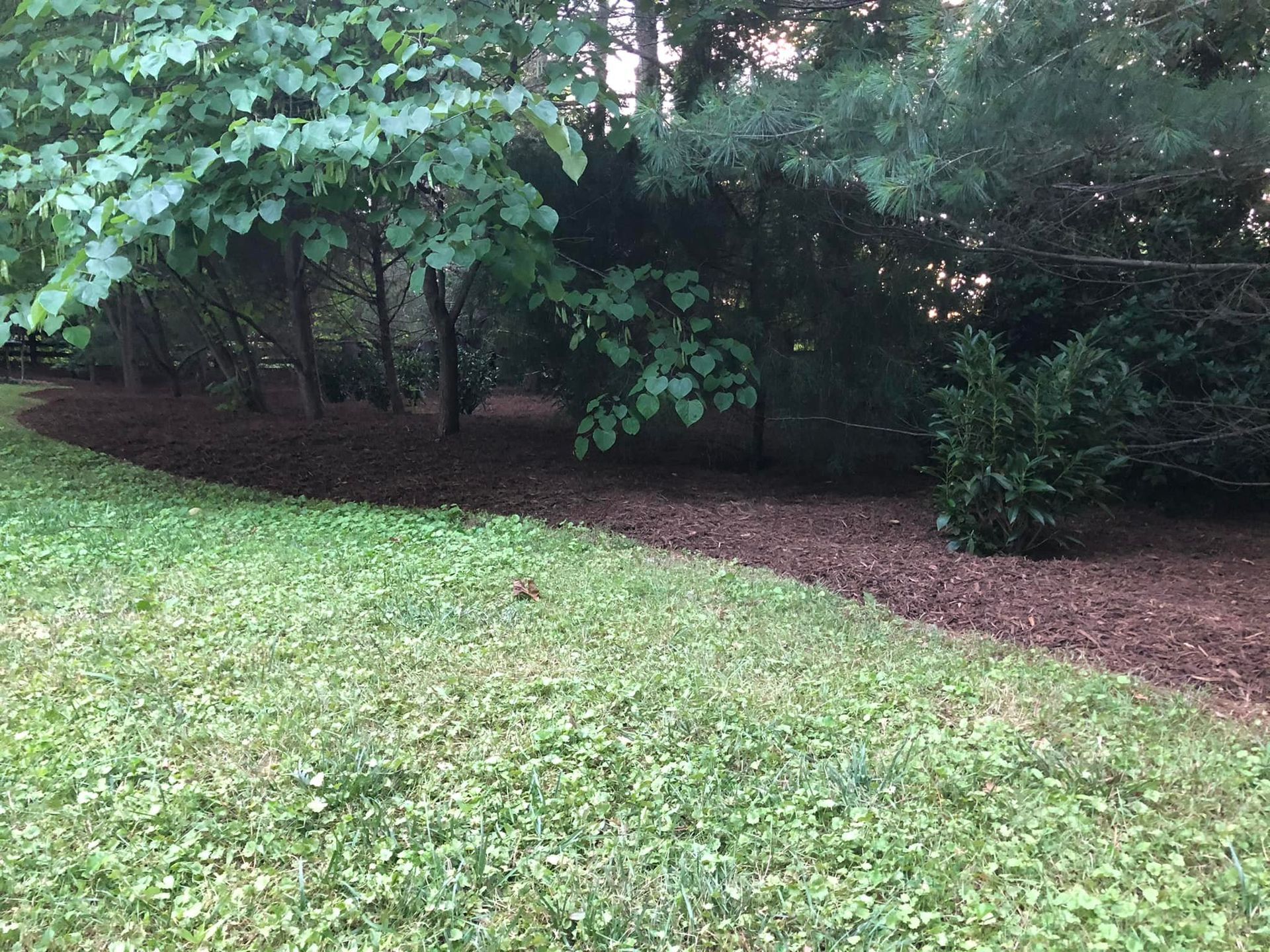 Landscaping Images Side View Three - Scottsville, VA - Jones Tree Service & Landscaping, LLC