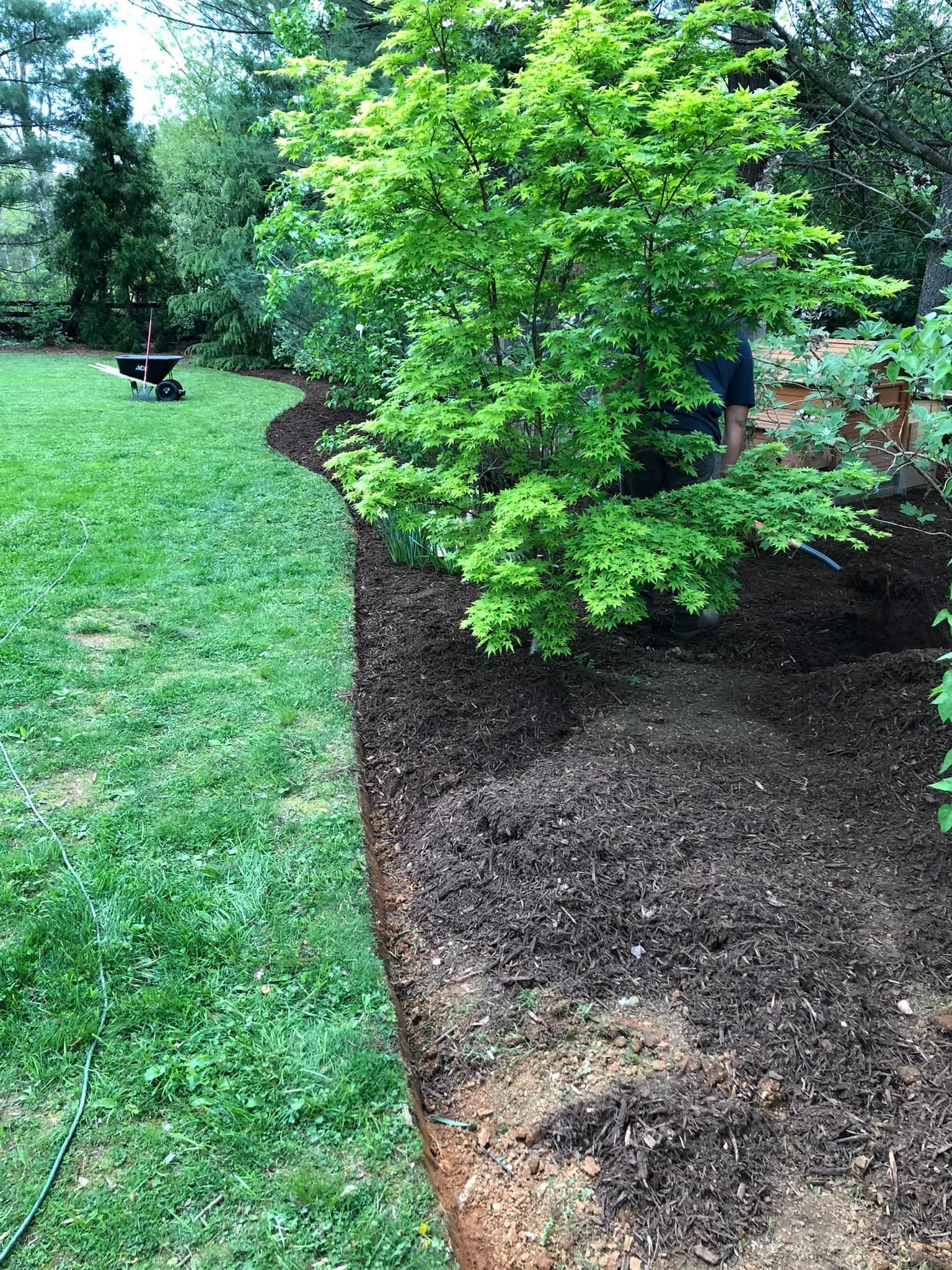 Landscaping Images Side View One - Scottsville, VA - Jones Tree Service & Landscaping, LLC