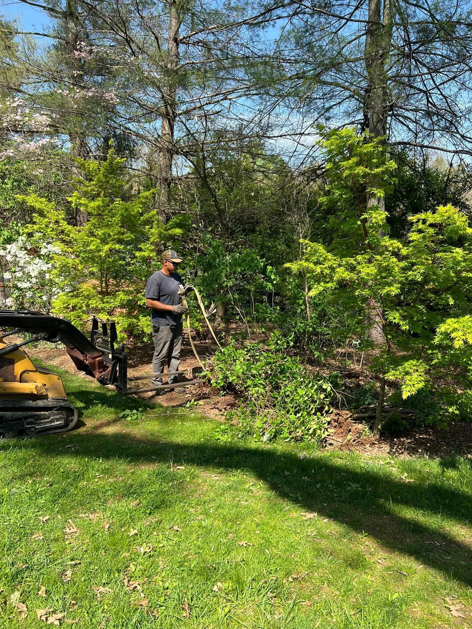 Before Tree Planting - Scottsville, VA - Jones Tree Service & Landscaping, LLC