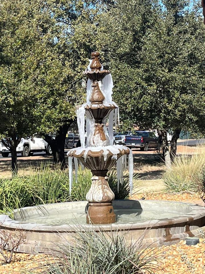 A large fountain is surrounded by trees and bushes in a park.
