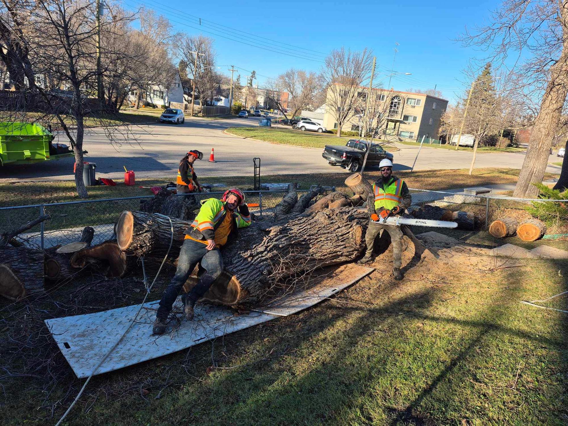 Our tree service experts in Winnipeg posing for a photo around a felled tree trunk on a residential front lawn