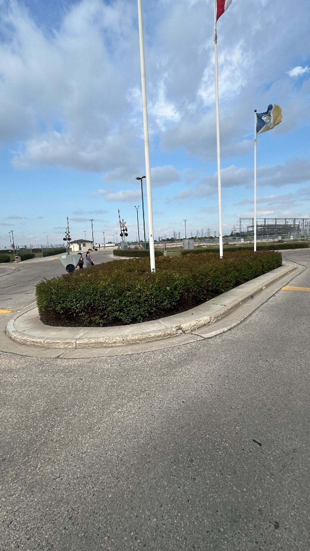 Freshly trimmed hedges in a roundabout