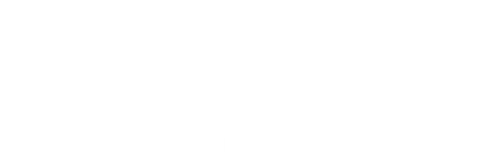 Un logo noir et blanc pour jacuzzi spa l'origine du spa.