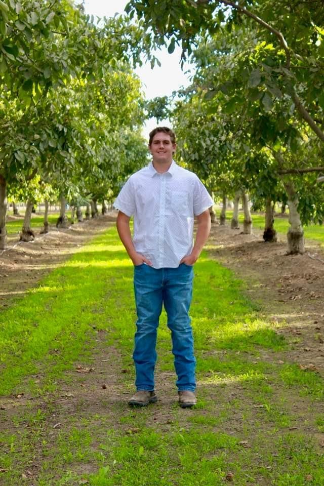 A man in a white shirt and blue jeans is standing in a field of trees.