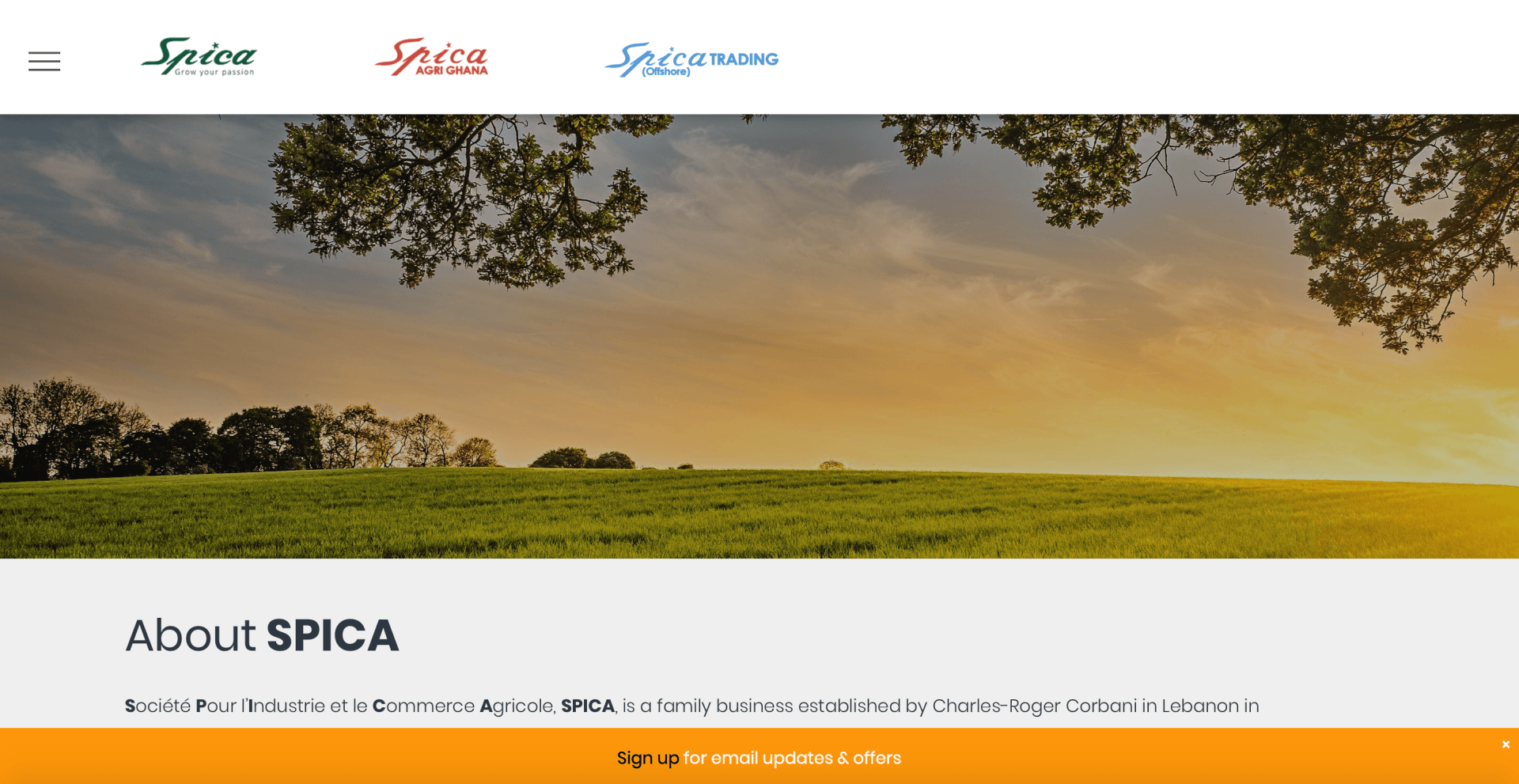 A website with a picture of a field and trees on it