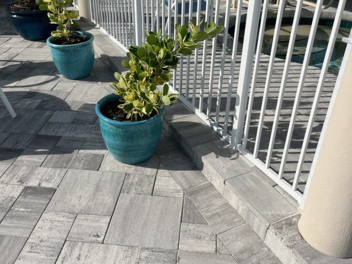 A potted plant is sitting on a patio next to a fence.