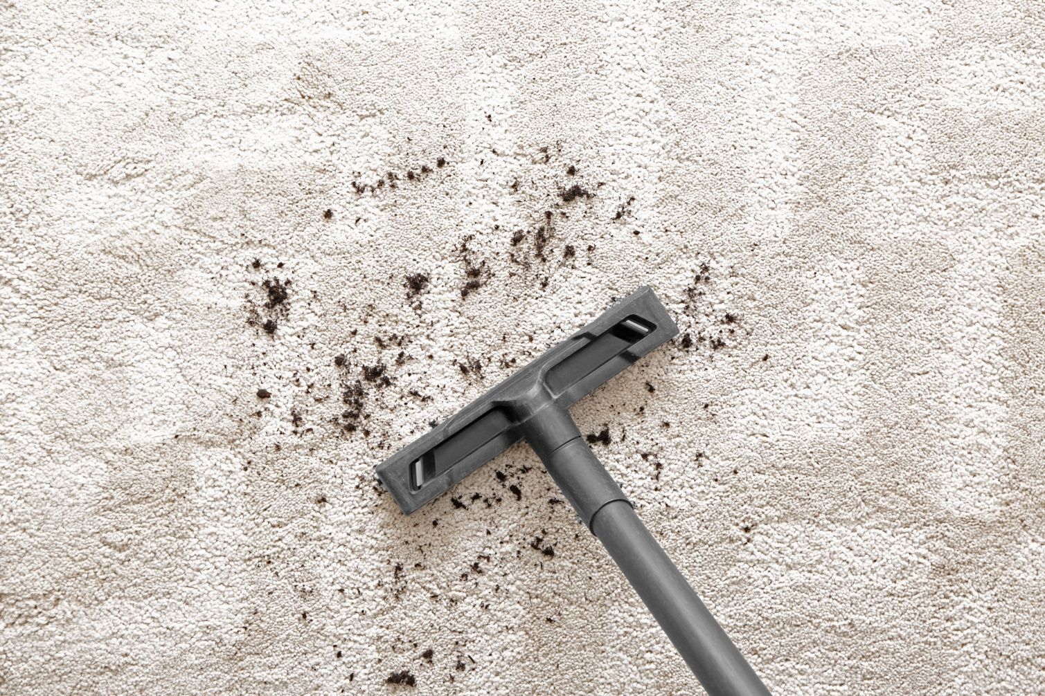 A grey vacuum cleaner nozzle rests on a light-colored carpet, surrounded by scattered dark debris.