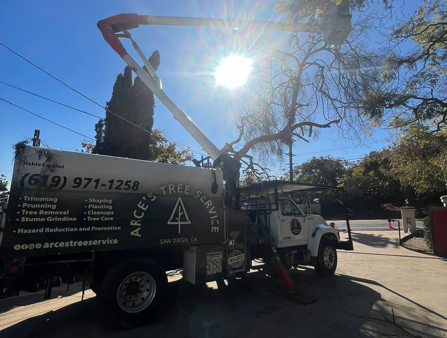 An image of Tree Service Company in El Cajon CA