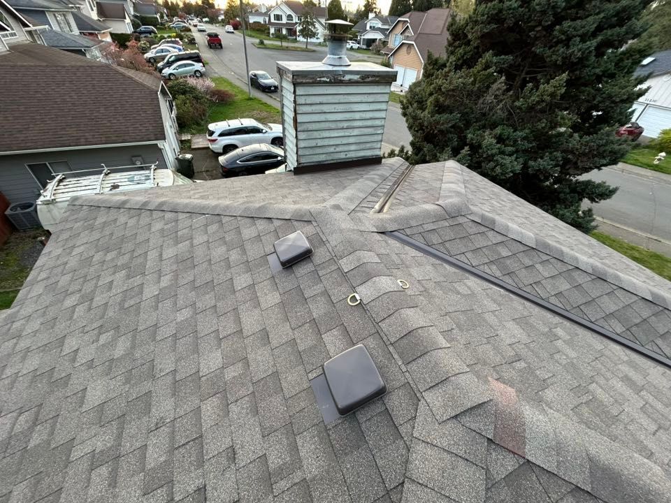 A shingled roof with a chimney. The houses on the street behind it.
