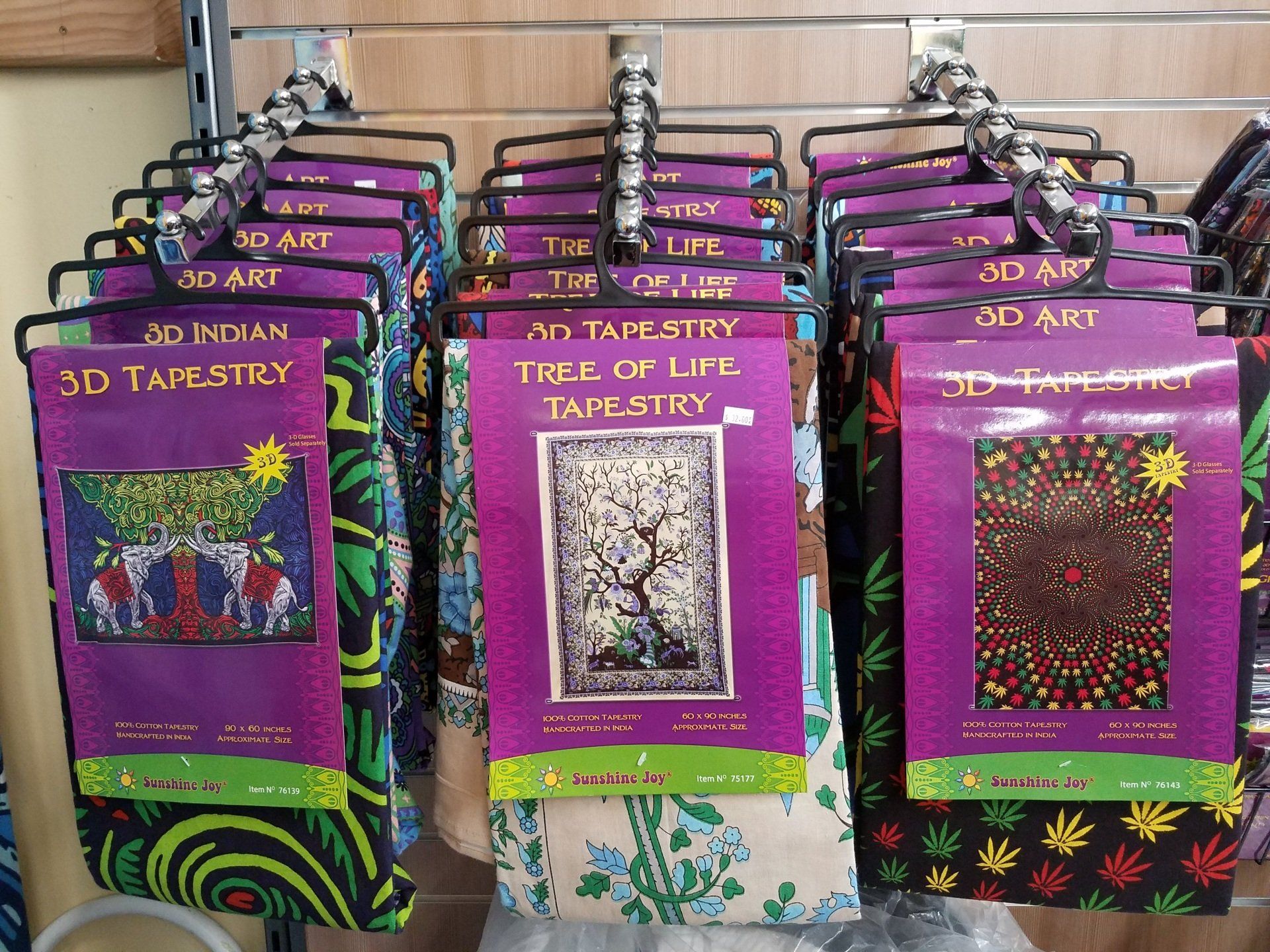 Community | Group of People Picking up Garbage  | Arcata, CA