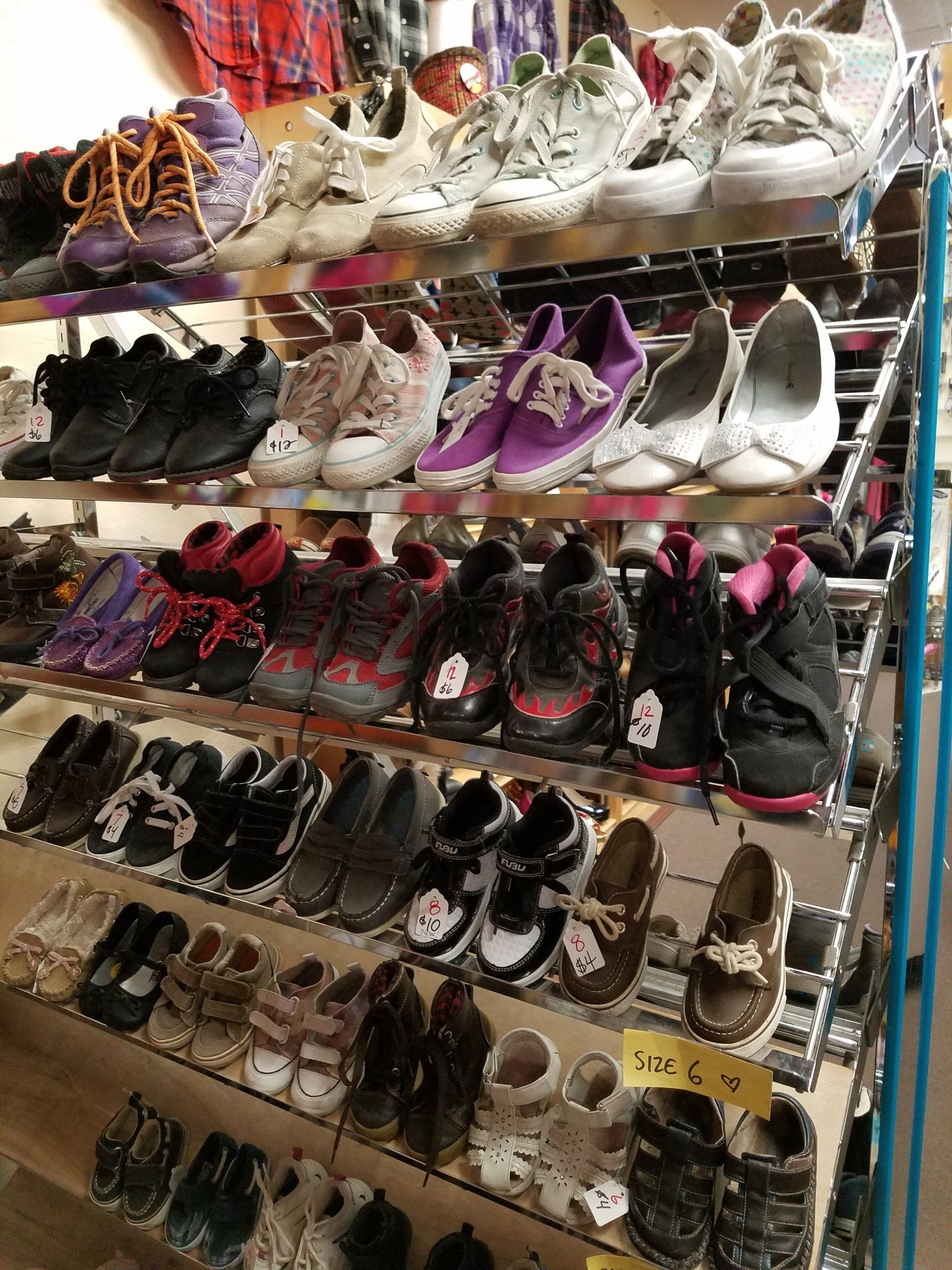 Give Back to the Community | Group of People Planting Tree | Arcata, CA