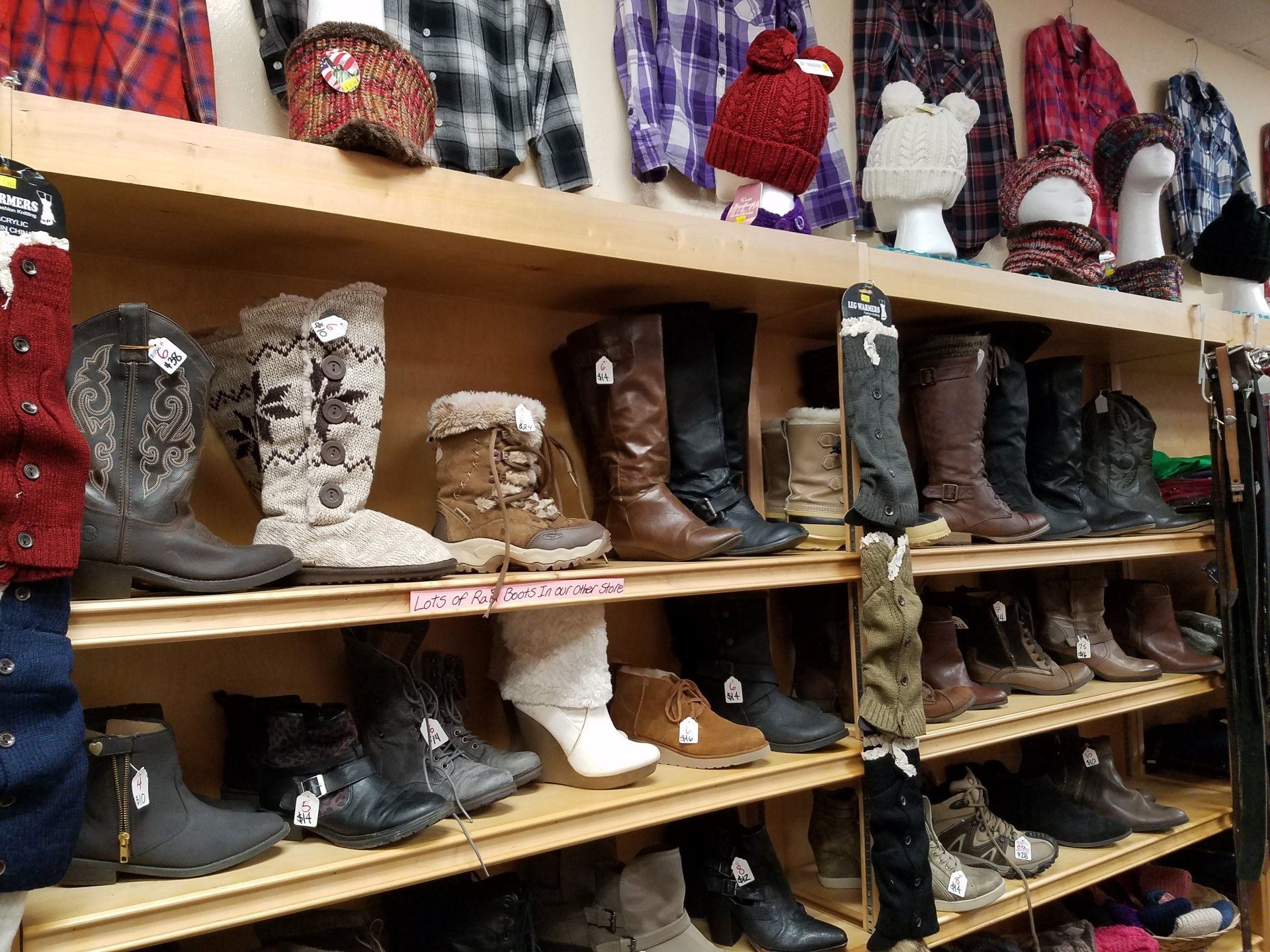 Community | Group of People Picking up Garbage  | Arcata, CA