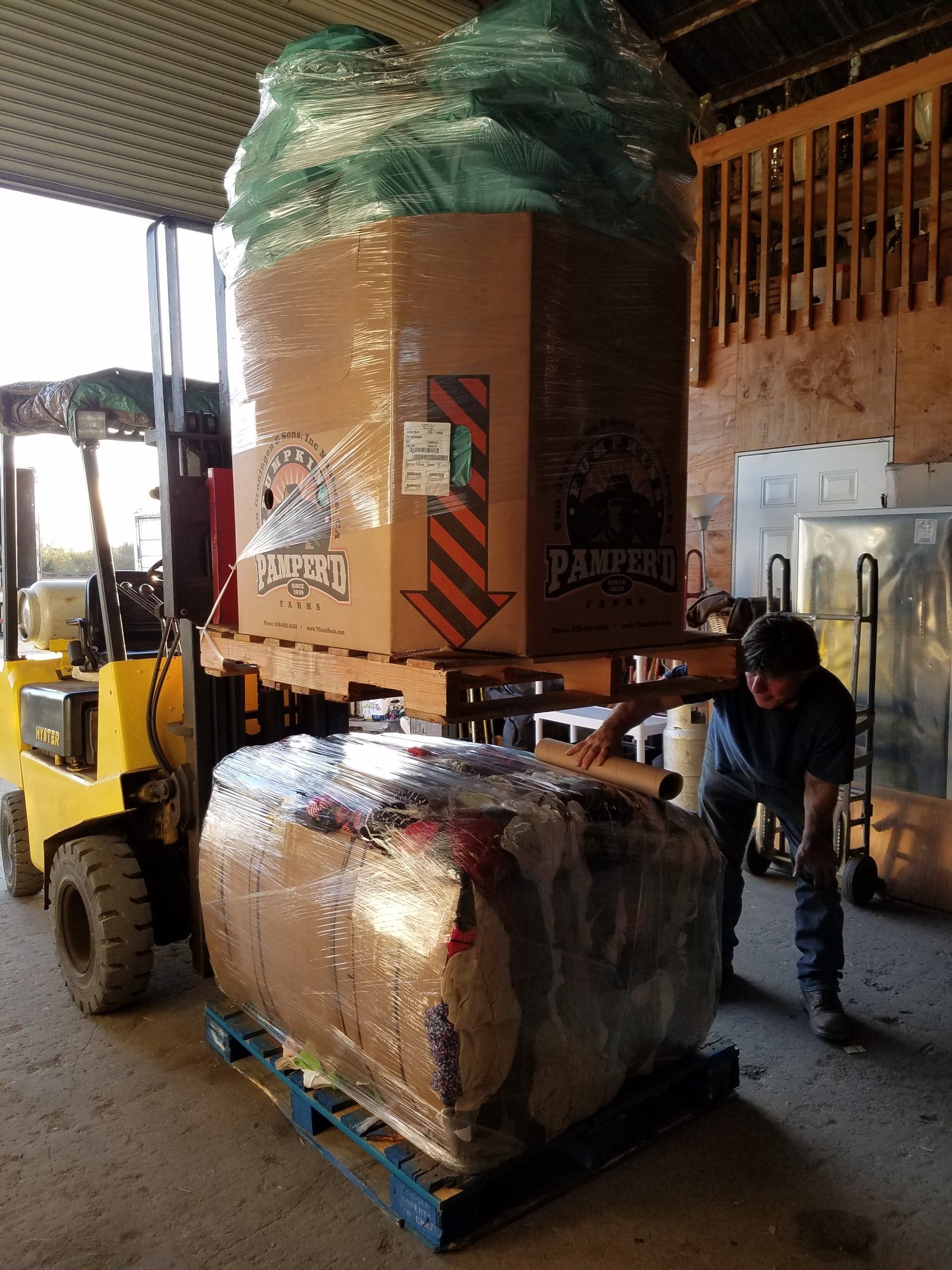 Give Back to the Community | Group of People Planting Tree | Arcata, CA