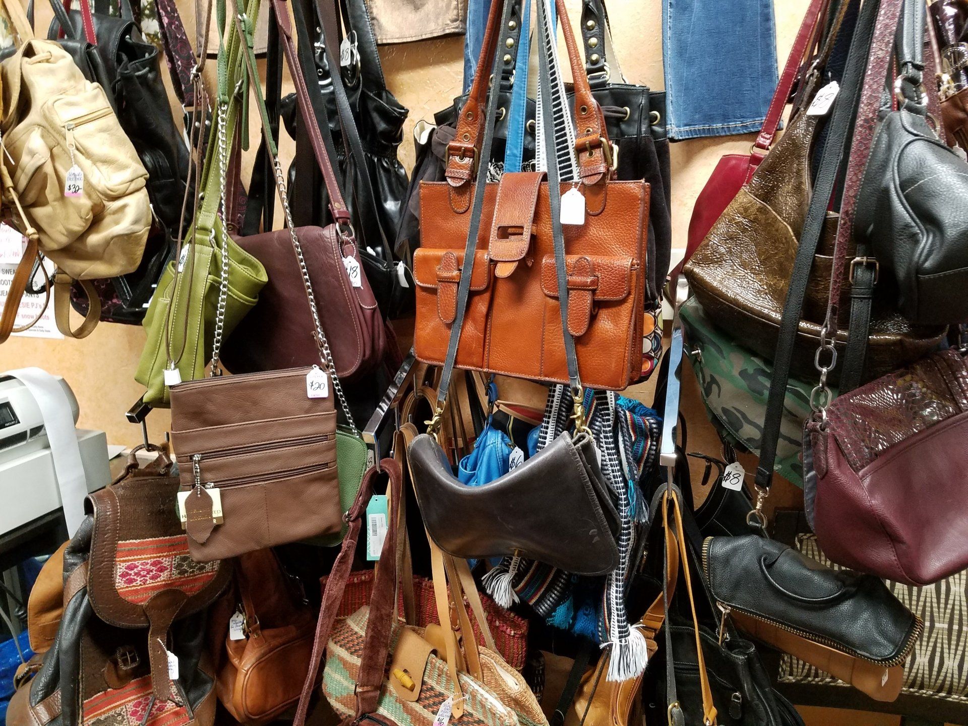 Give Back to the Community | Group of People Planting Tree | Arcata, CA