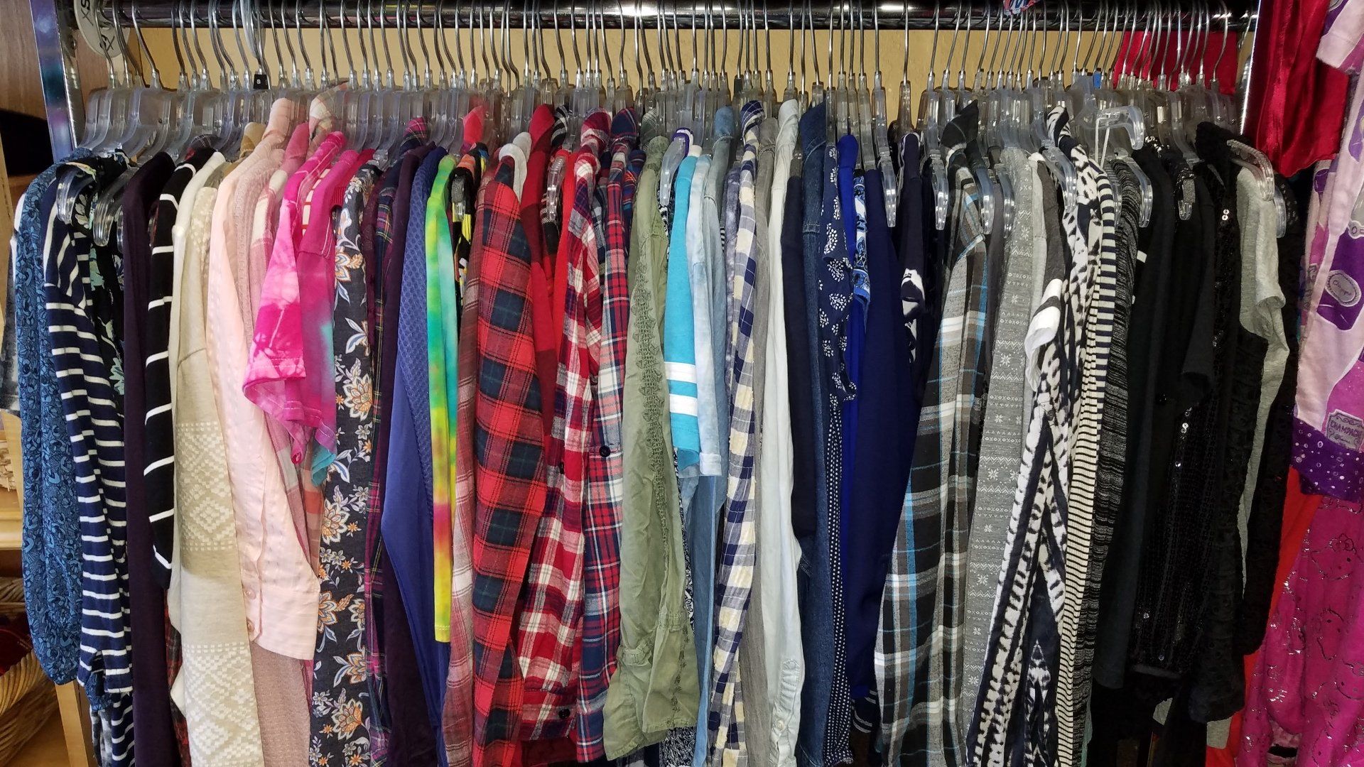 Community | Group of People Picking up Garbage  | Arcata, CA