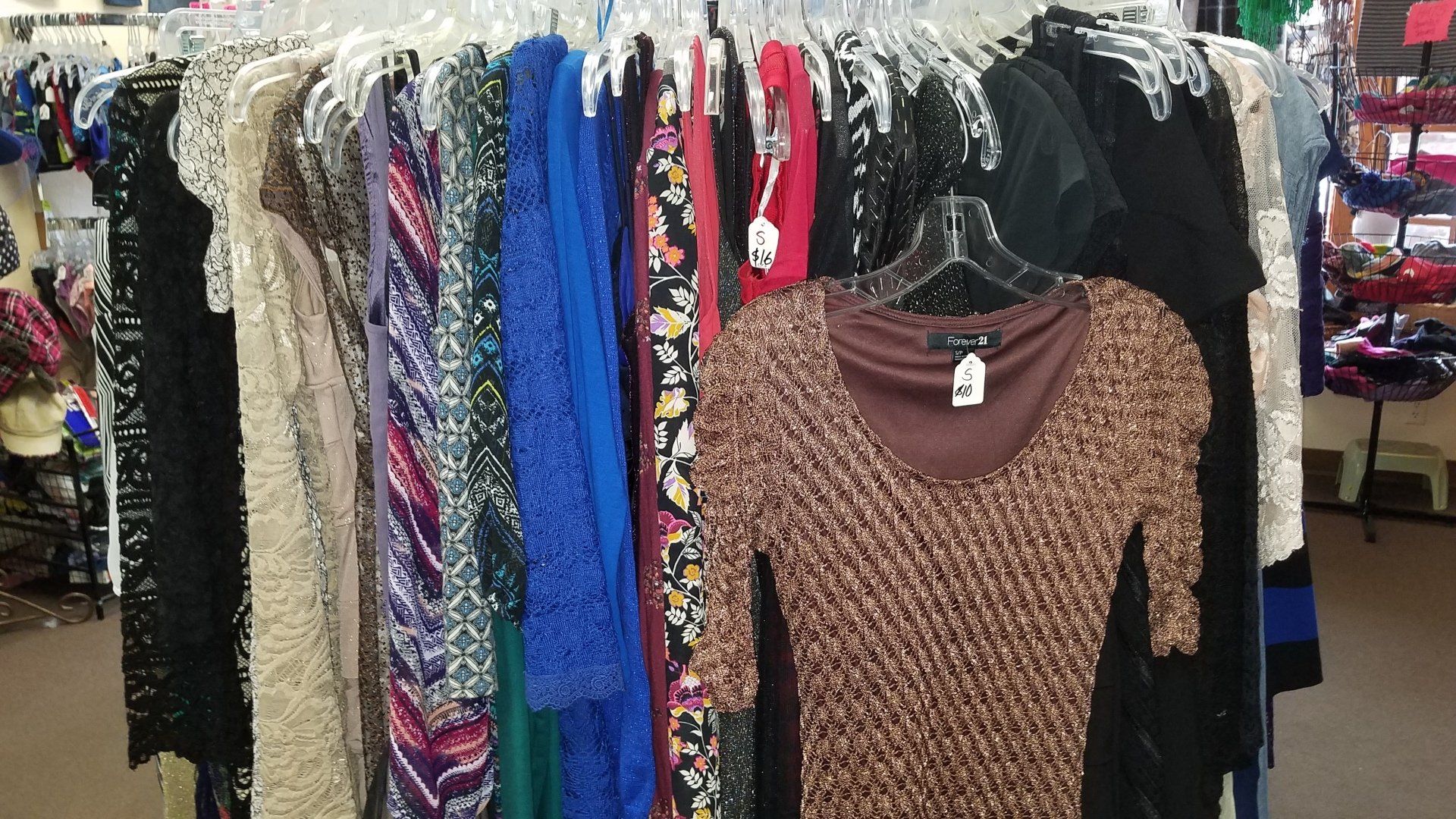 Give Back to the Community | Group of People Planting Tree | Arcata, CA