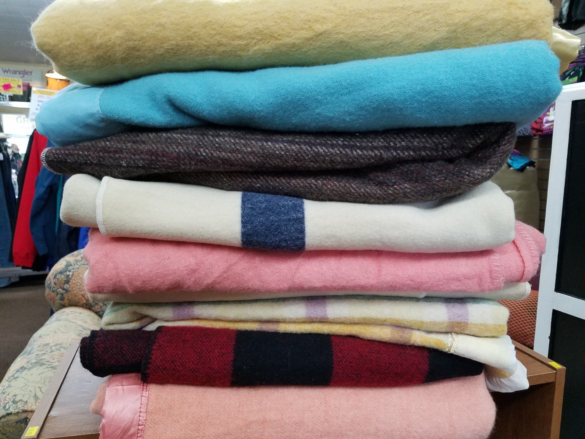 Give Back to the Community | Group of People Planting Tree | Arcata, CA