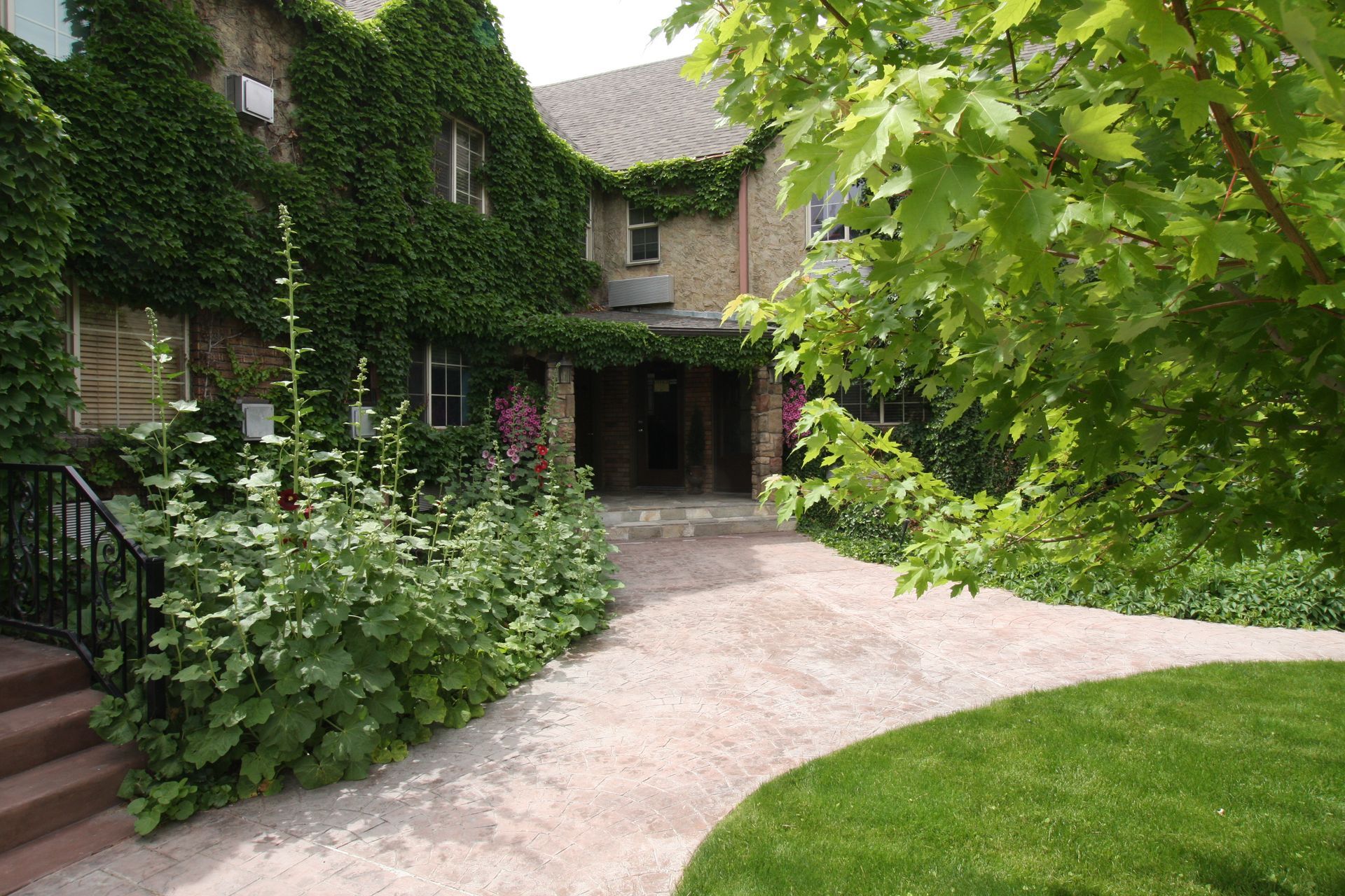 A large house with ivy on the side of it