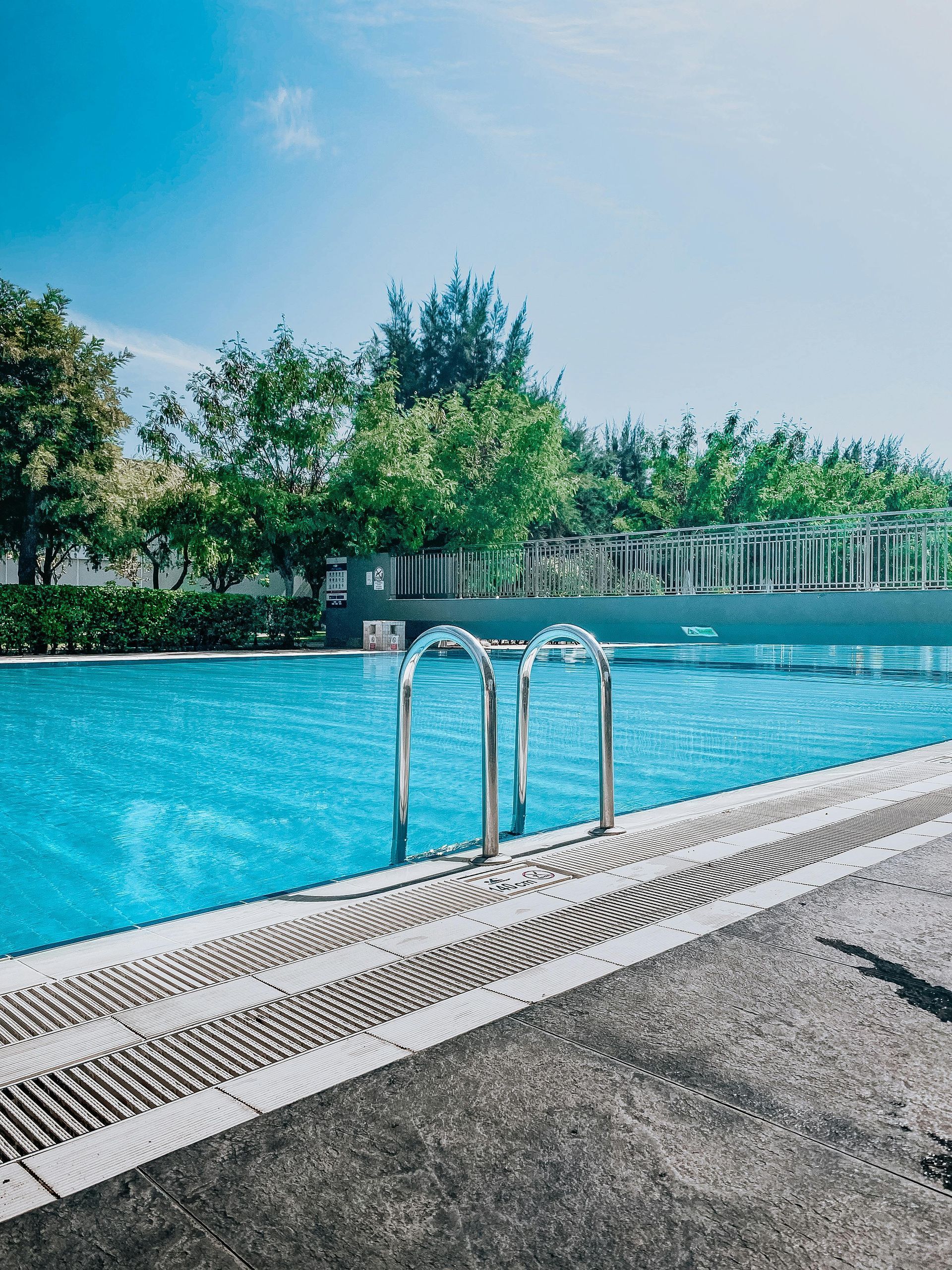 A bright blue outdoor swimming pool with a metal ladder at the edge, surrounded by green trees under a clear sky.