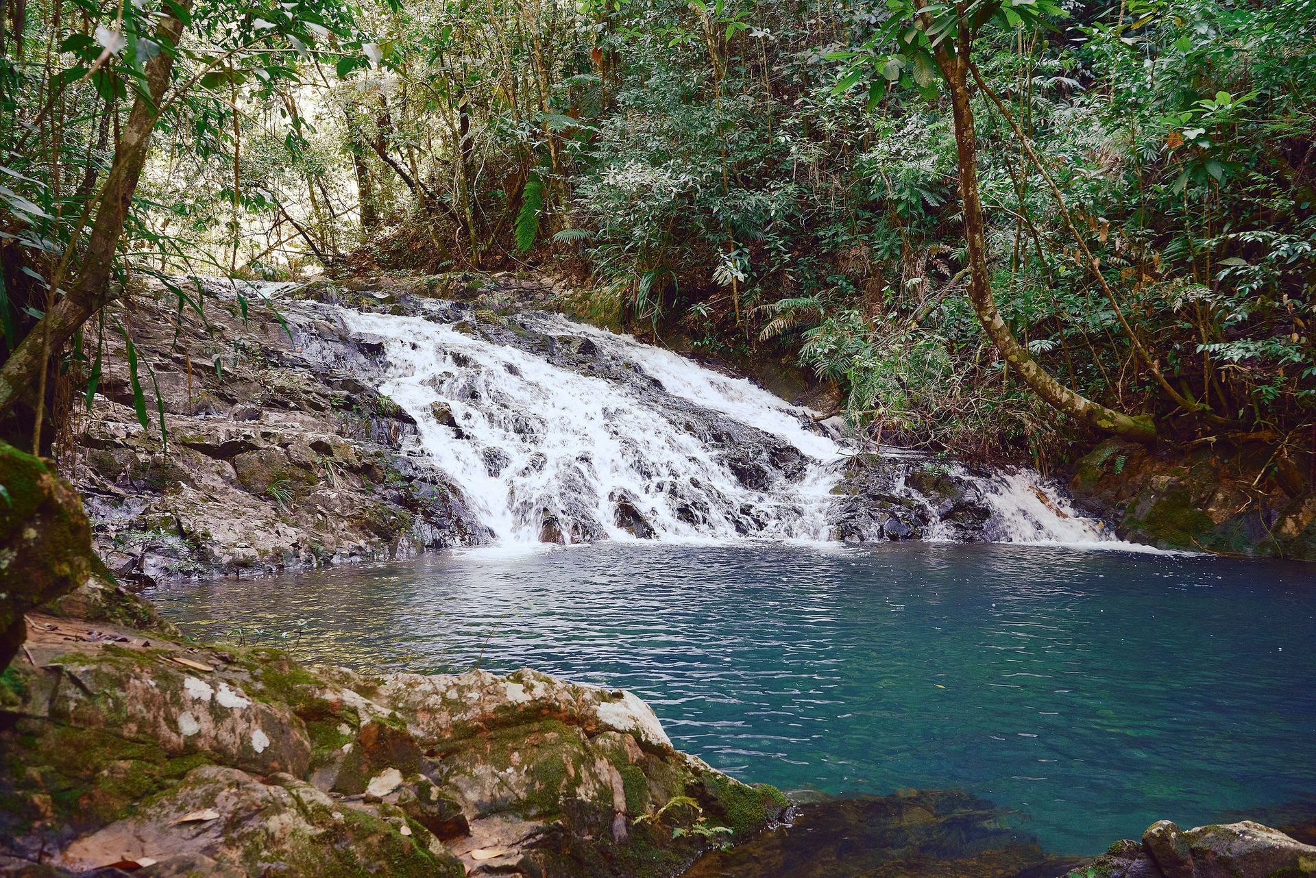 A waterfall is surrounded by trees and rocks in the middle of a forest.