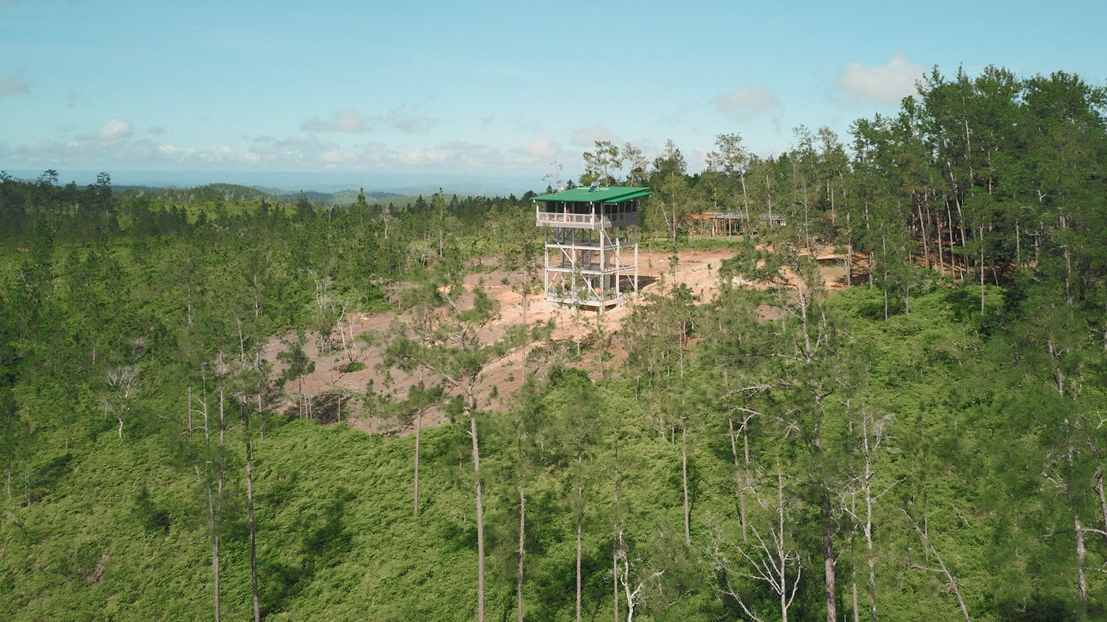 Aerial view of the Fire Tower surrounded by lush pine forest, offering panoramic views for a romantic getaway.