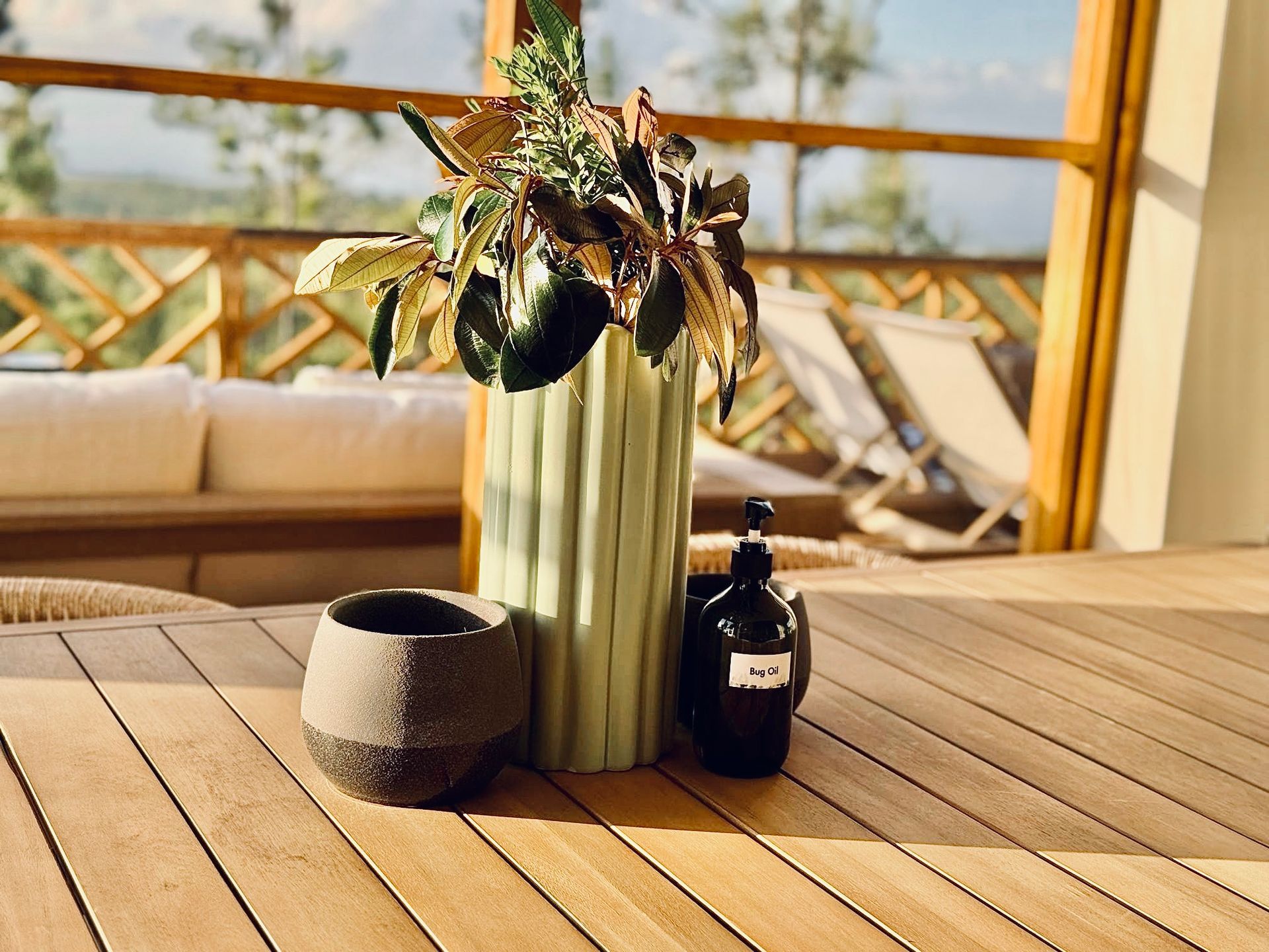 A vase with a plant in it is sitting on a wooden table.