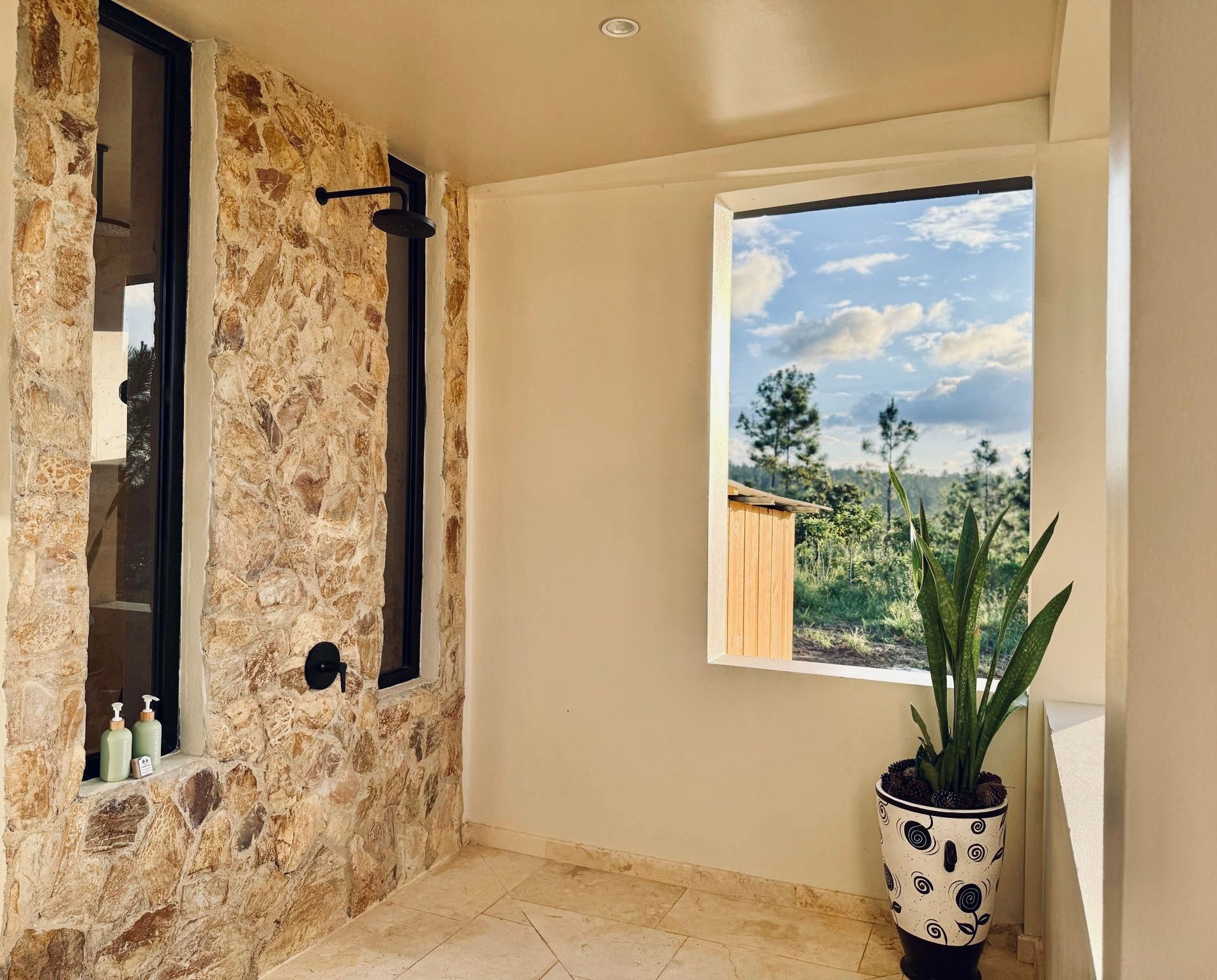 A bathroom with a potted plant in front of a window